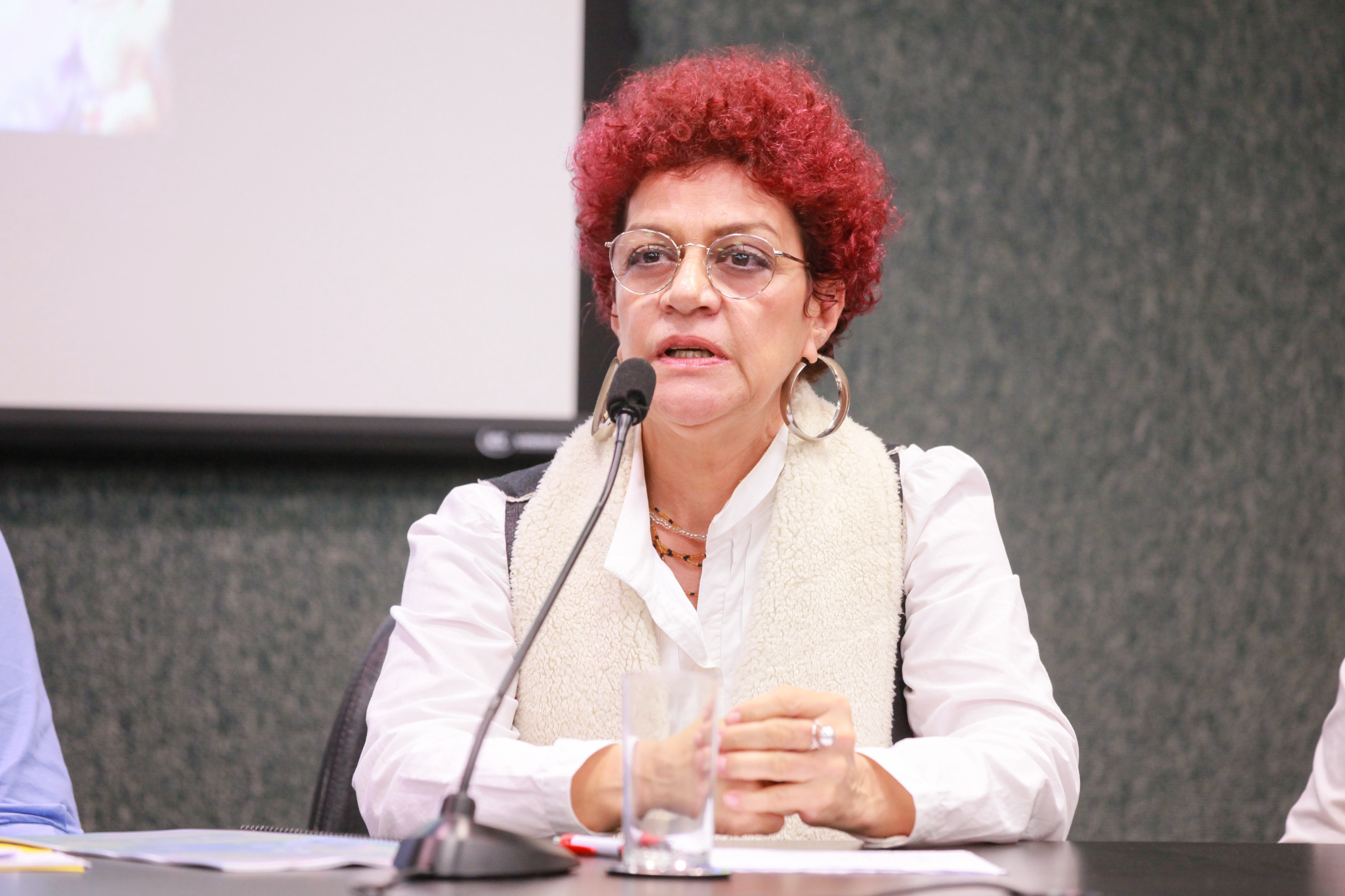 Lançamento da Frente Parlamentar das Juventudes
