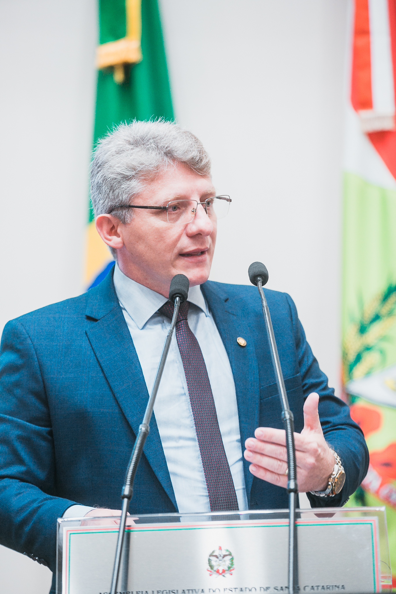 SESSÃO ORDINÁRIA - Deputado Gerri Consoli (PSD)