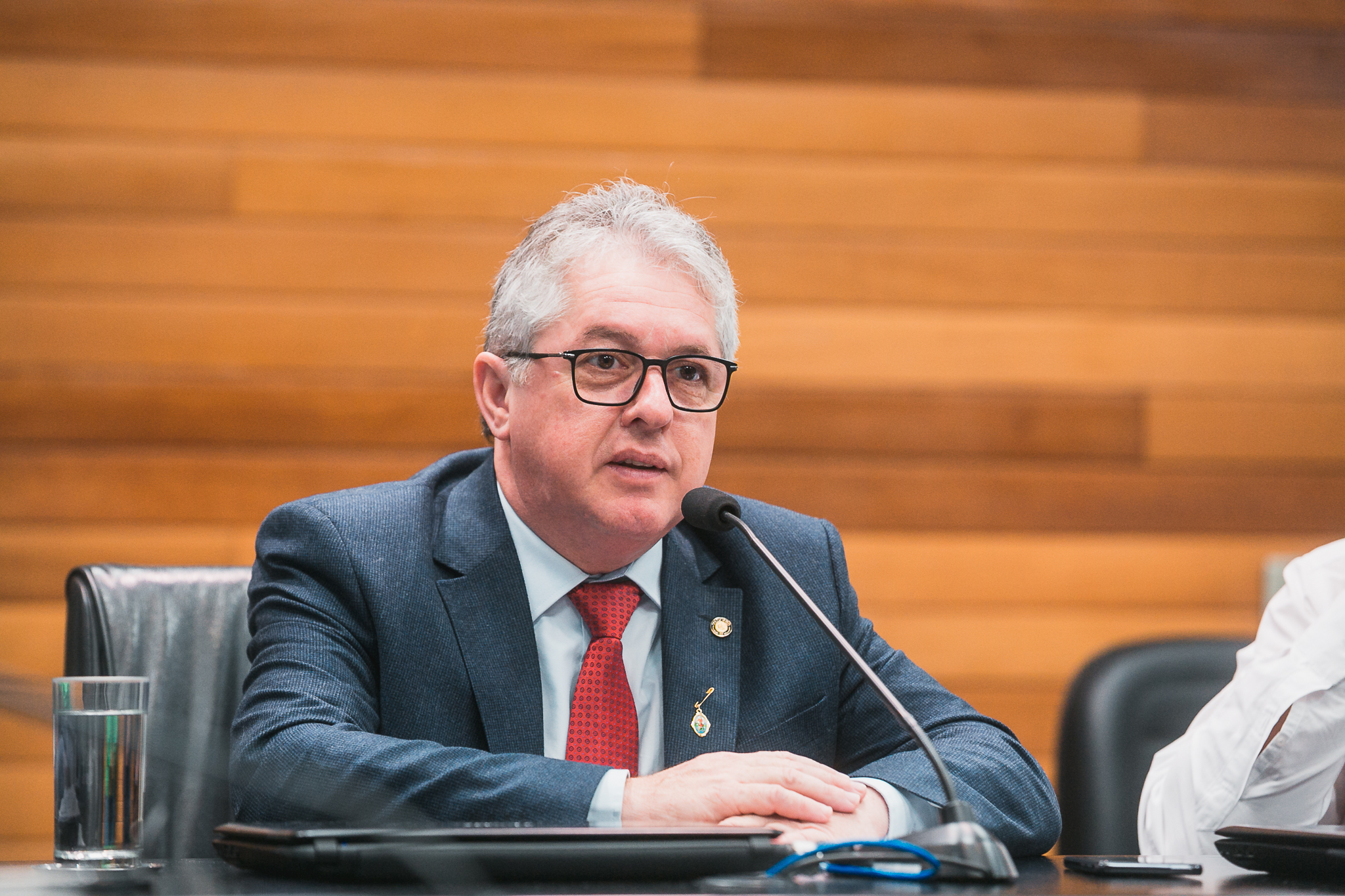 Comissão de Constituição e Justiça - Deputado Thiago Zilli (MDB)