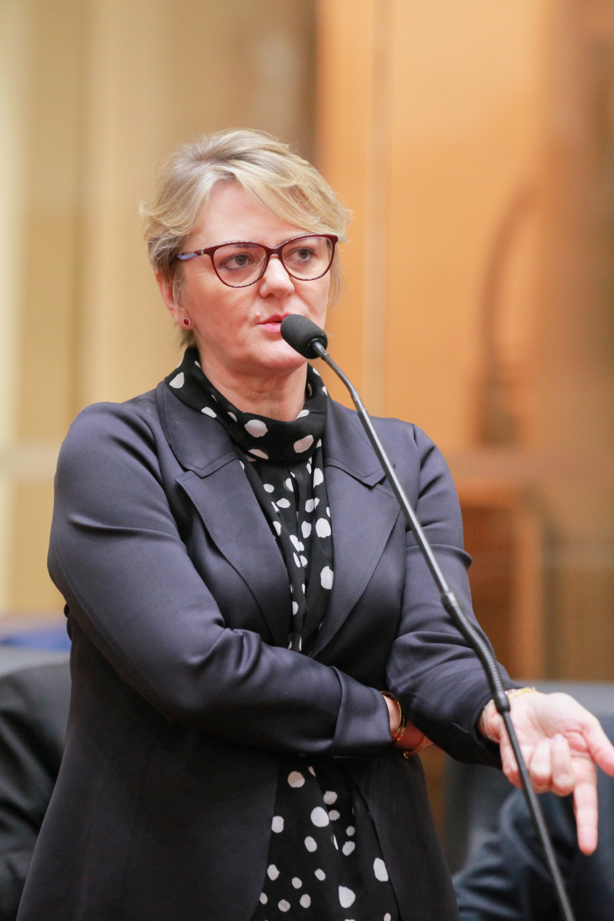 Comissão de Finanças e Tributação- Deputada Luciane Carminatti (PT)