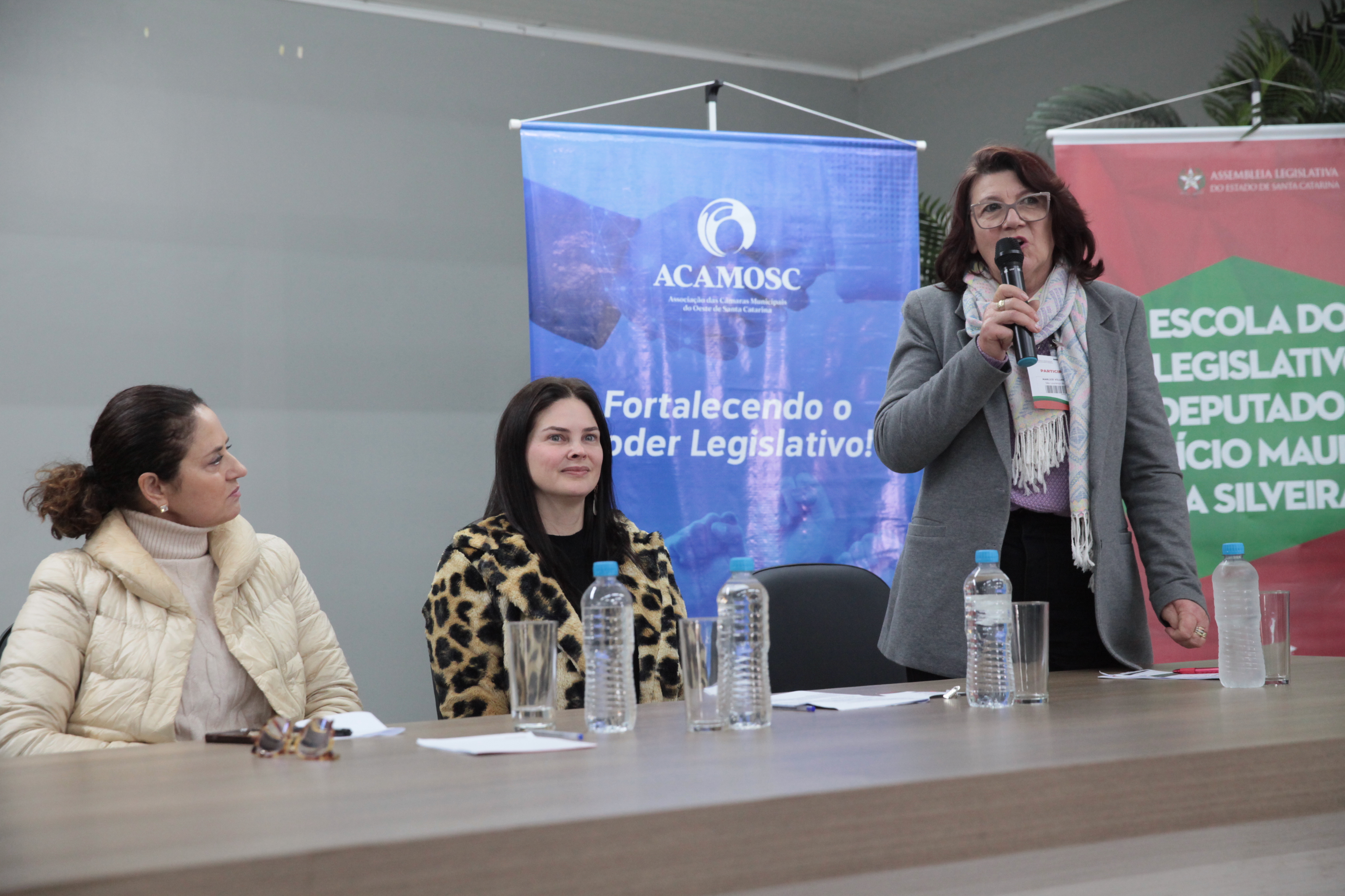 Seminário Legislativo em Ação - Marlice Villani Perazozoli, presidente da ACANOR
