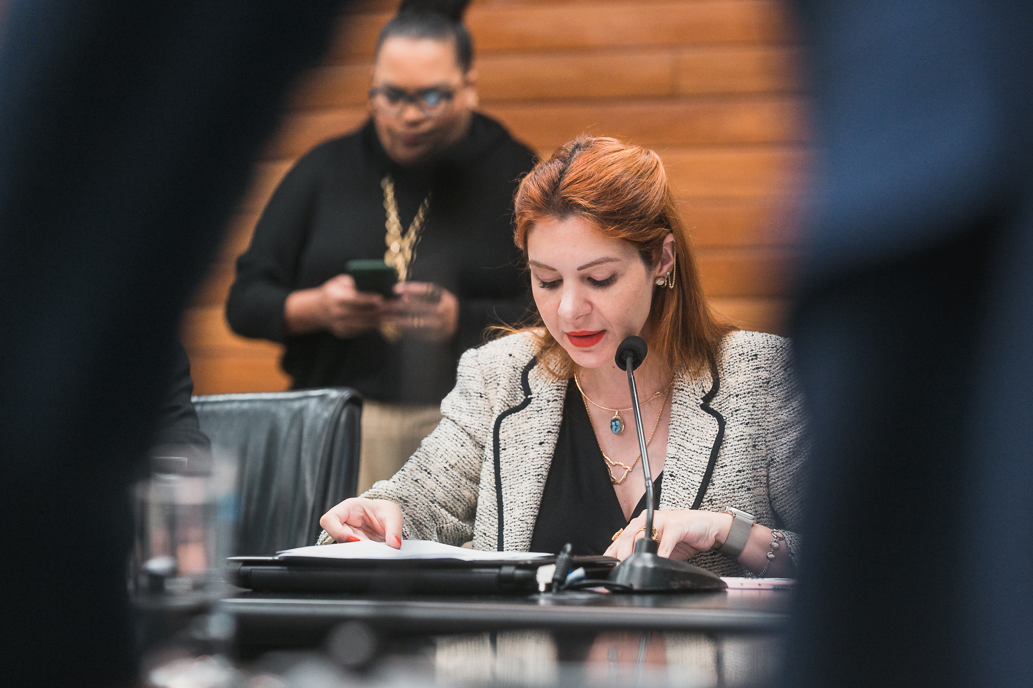 Comissão de Constituição e Justiça - Deputada Ana Caroline Campagnolo (PL)