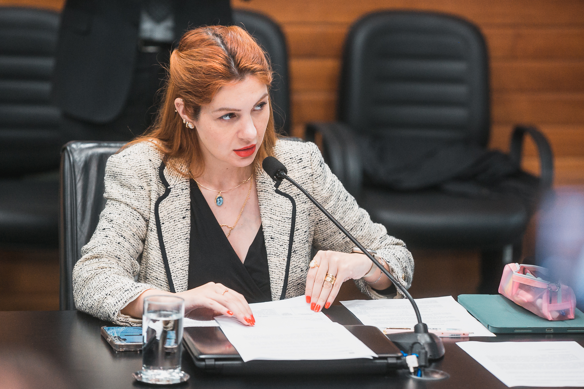 Comissão de Constituição e Justiça - Deputada Ana Caroline Campagnolo (PL)