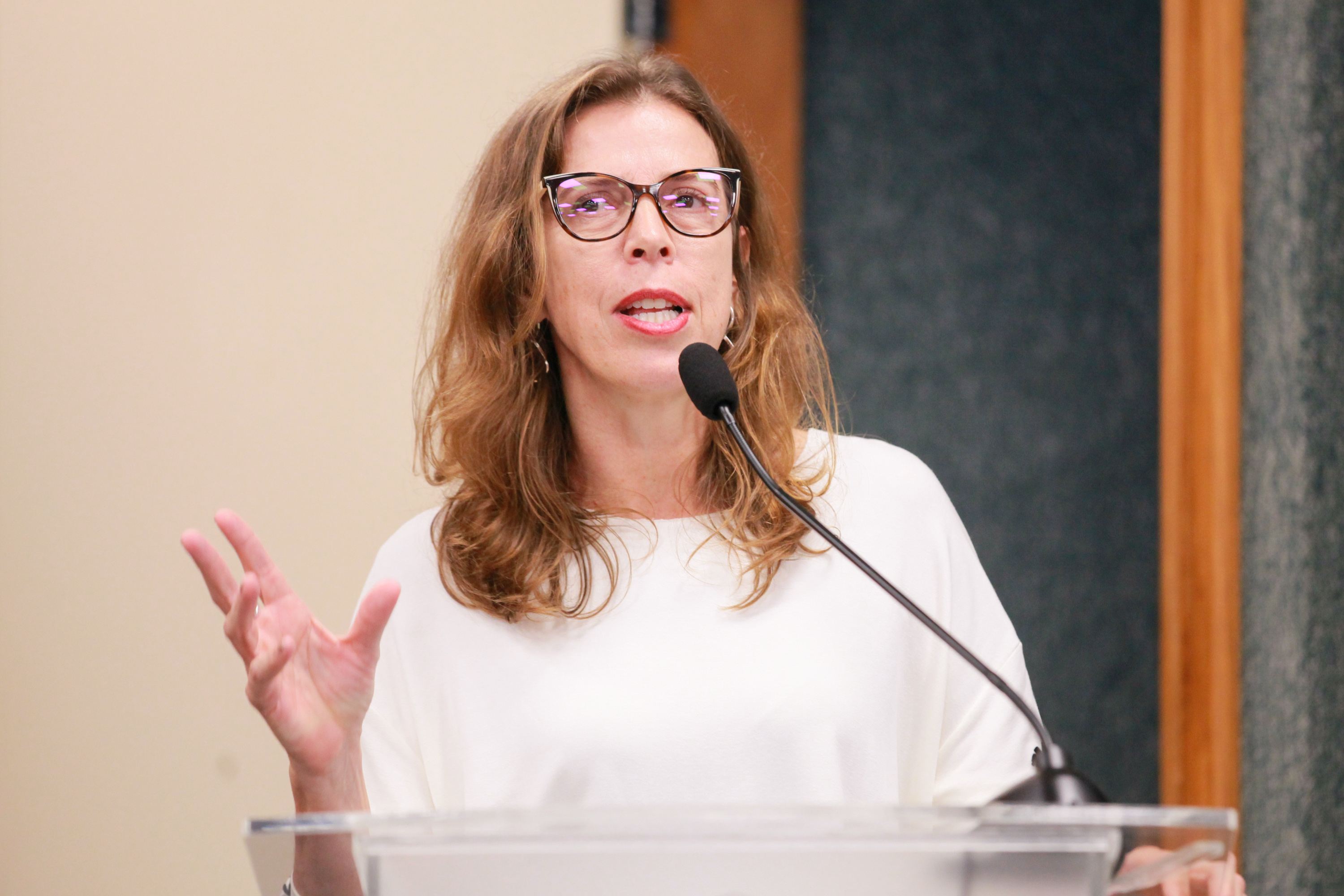 Audiência Pública objetivando discutir a importância de fomento ao Turismo de Base Comunitária