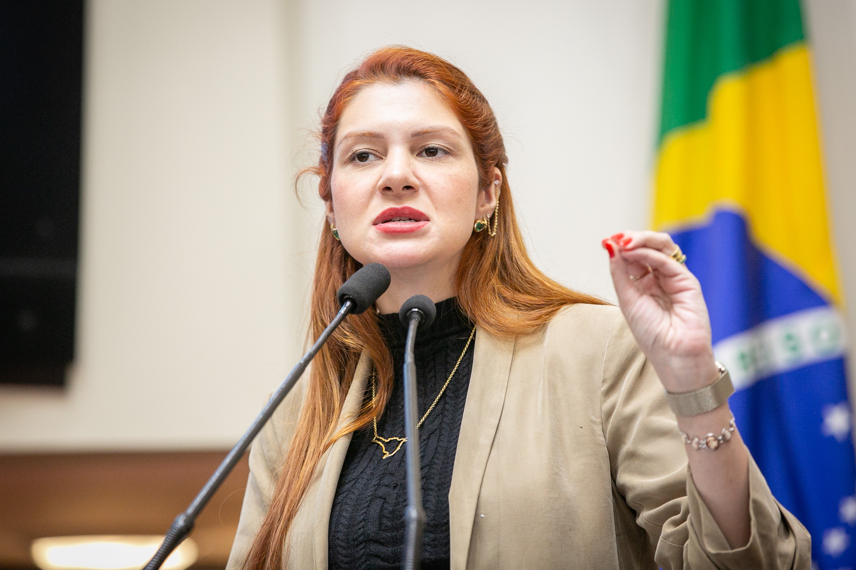 SESSÃO ORDINÁRIA - Parte 1 - Deputada Ana Caroline Campagnolo (PL)