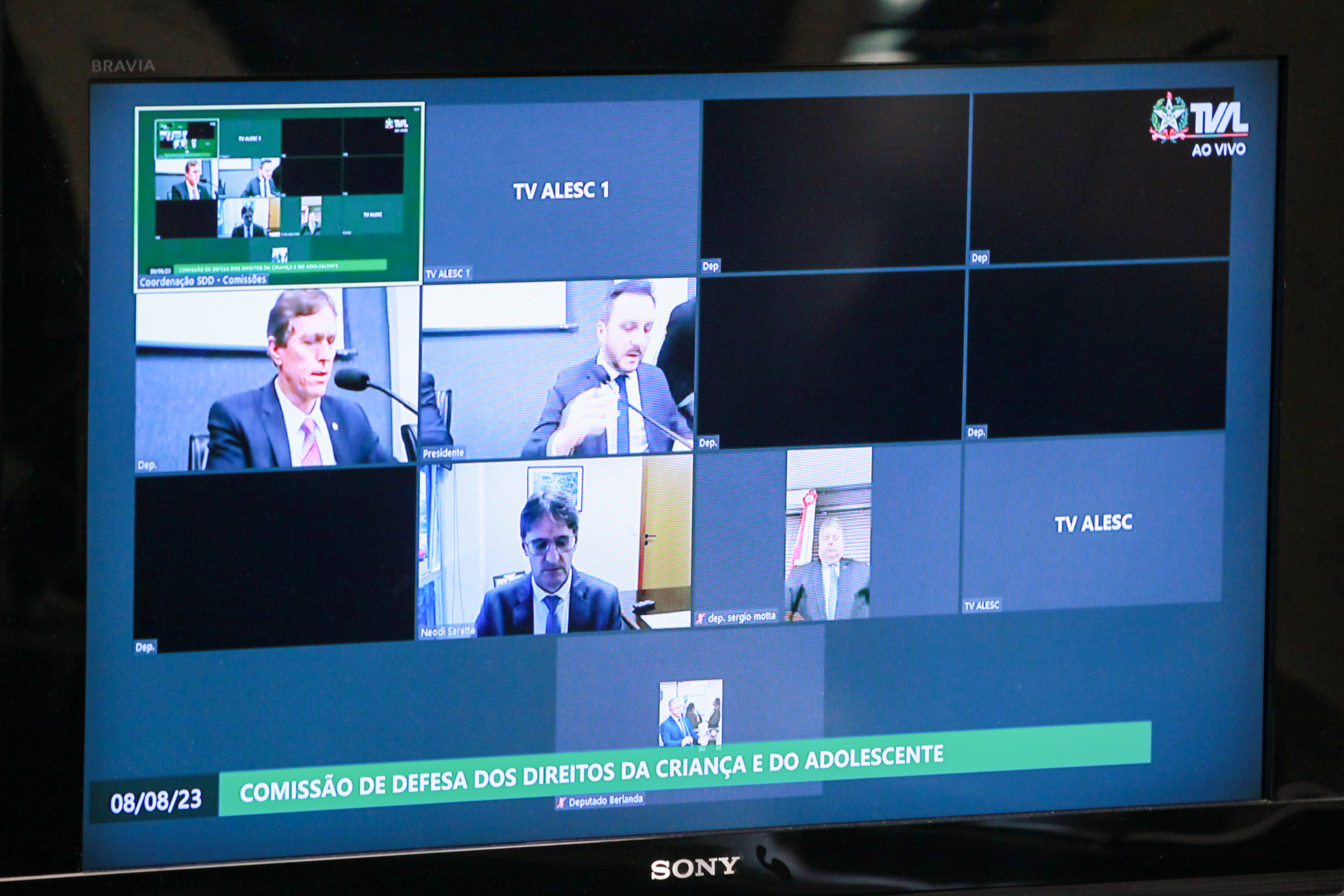 Comissão de Defesa dos Direitos da Criança e do Adolescente - Deputado Volnei Weber (MDB)- Deputado Pepê Collaço (PP)
 - Deputado Neodi Saretta (PT)