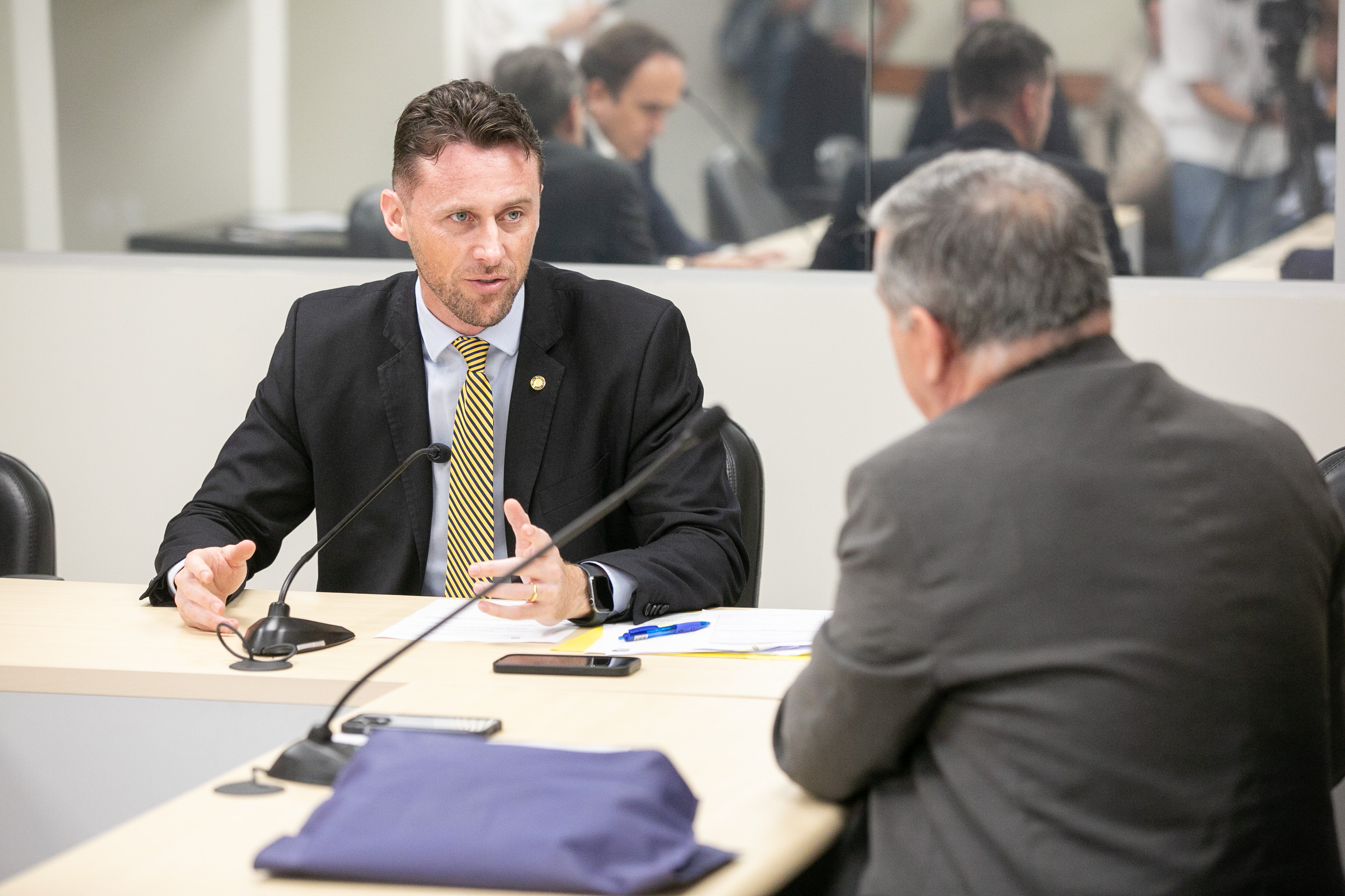 Comissão de Relacionamento Institucional, Comunicação, Relações Internacionais e do MERCOSUL