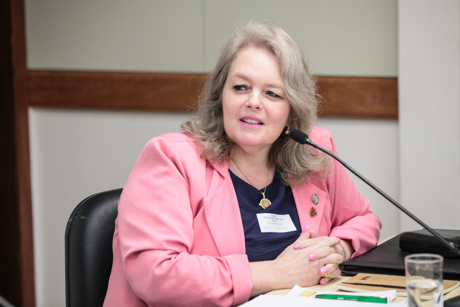 Comissão de Defesa dos Direitos da Pessoa com Deficiência - Jeane Rauh Probst Leite