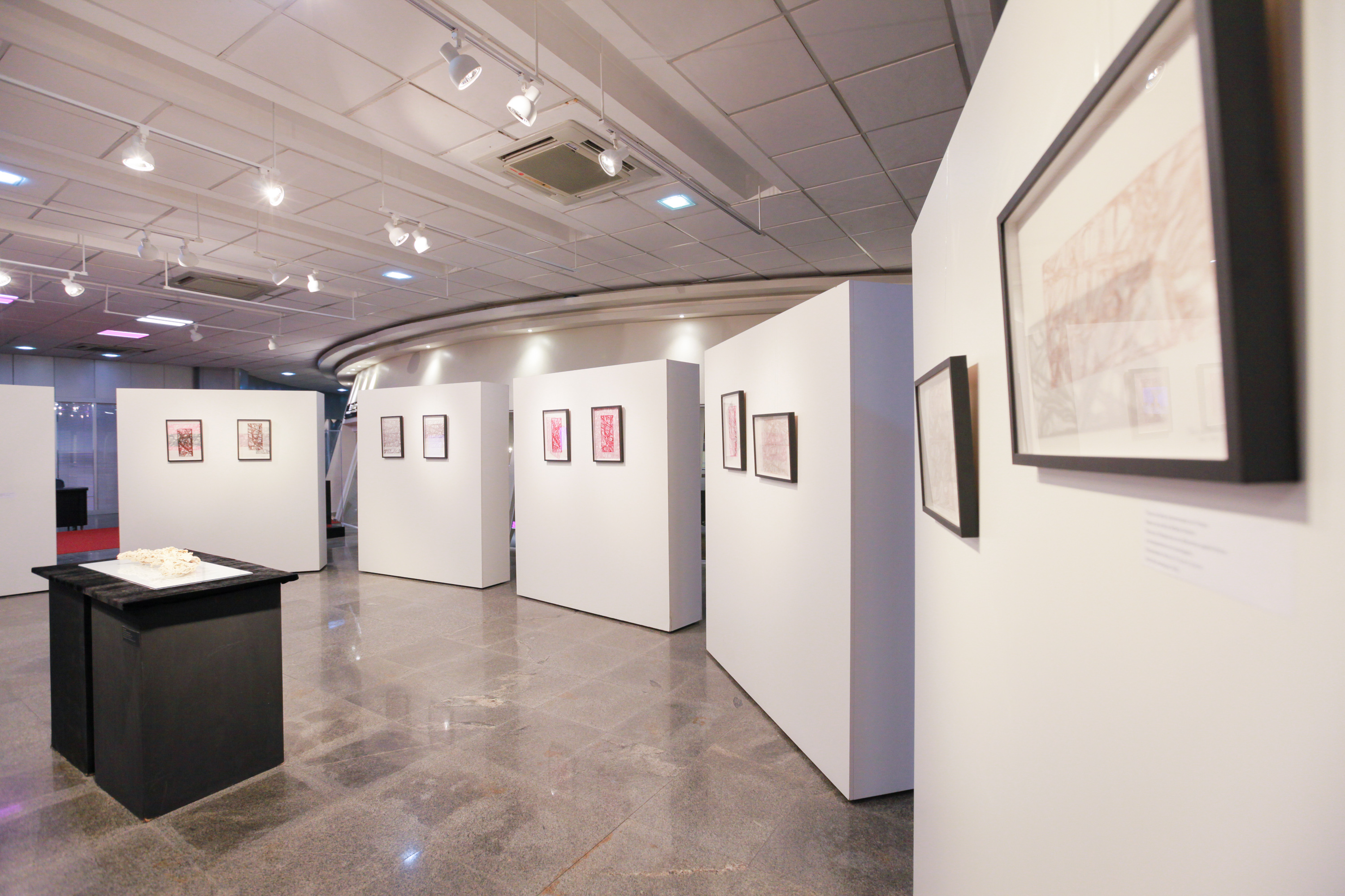 Abertura da exposição 