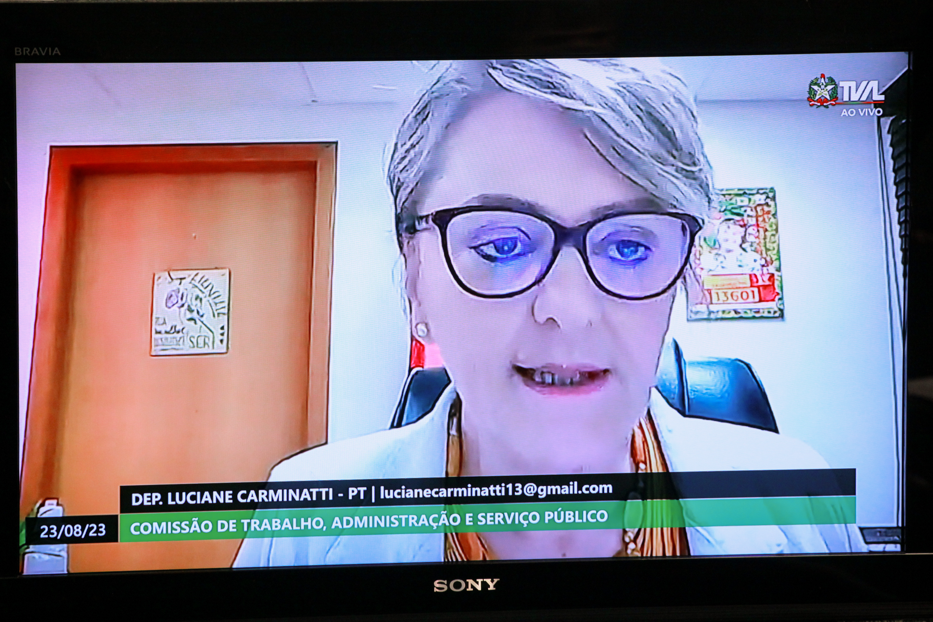 Comissão do Trabalho, Administração e Serviço Público - Deputada Luciane Carminatti (PT)