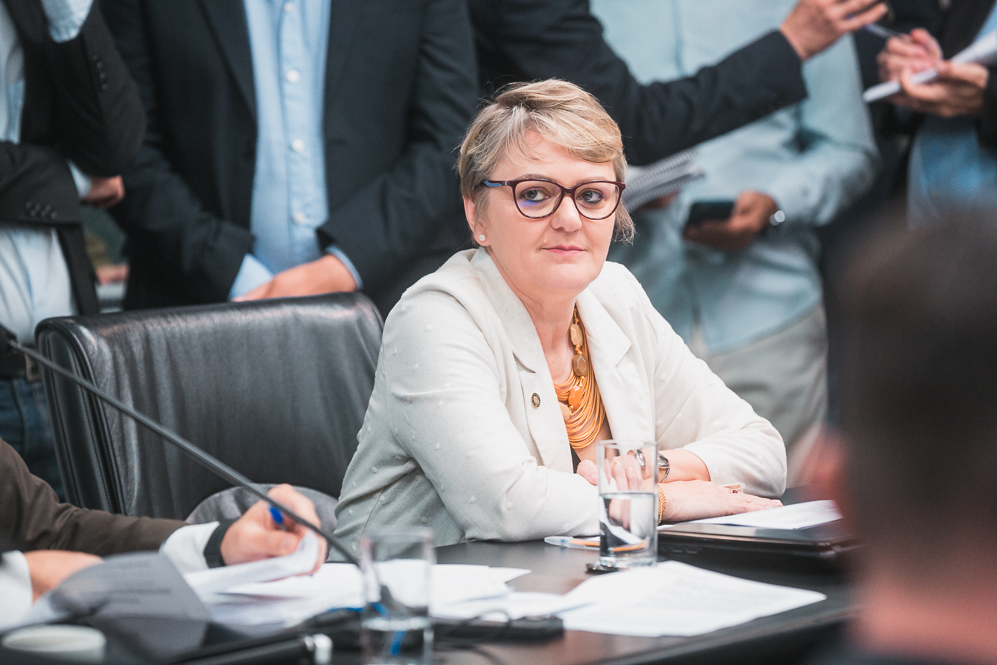 Comissão de Finanças e Tributação - Deputada Luciane Carminatti (PT)