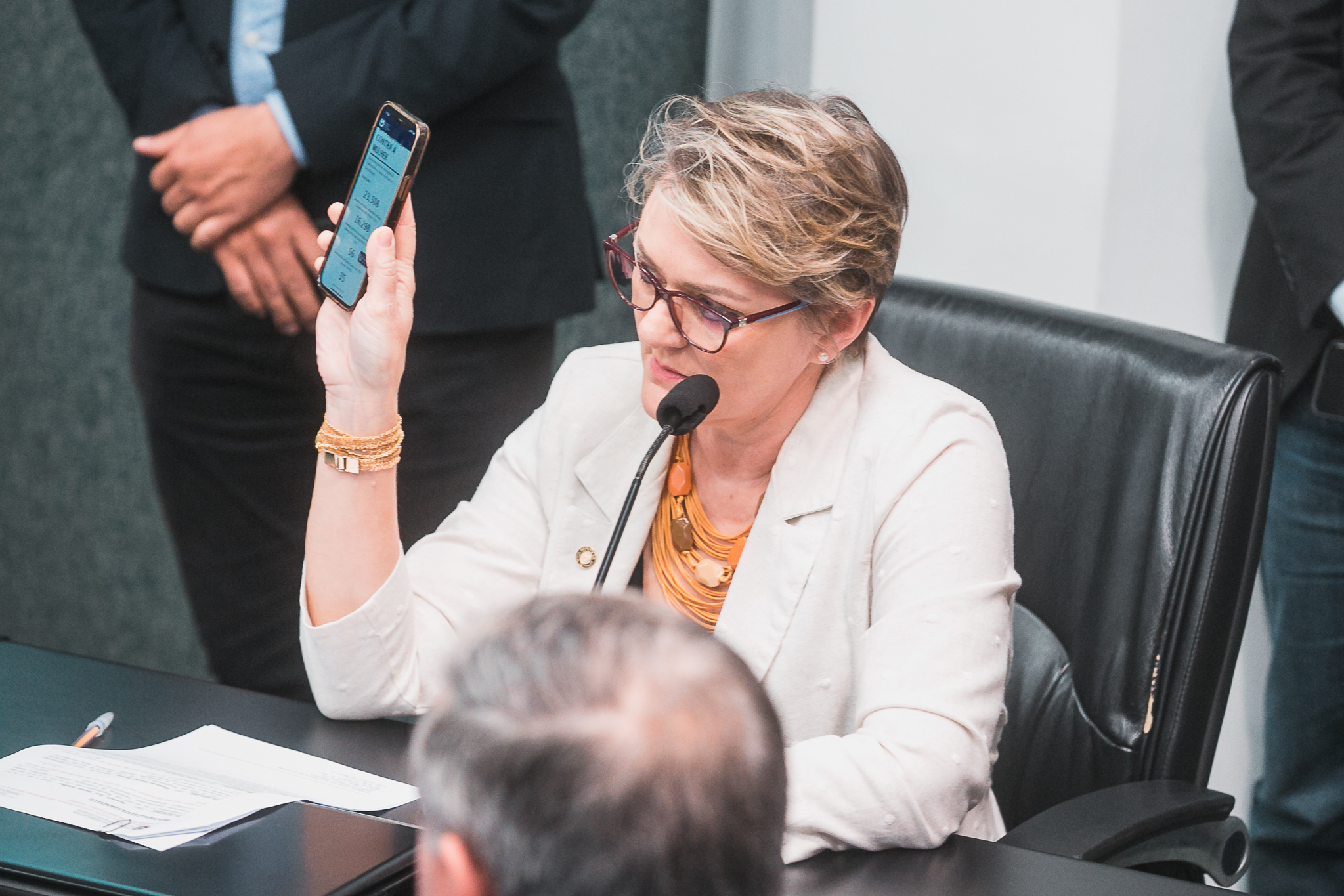 Comissão de Finanças e Tributação - Deputada Luciane Carminatti (PT)