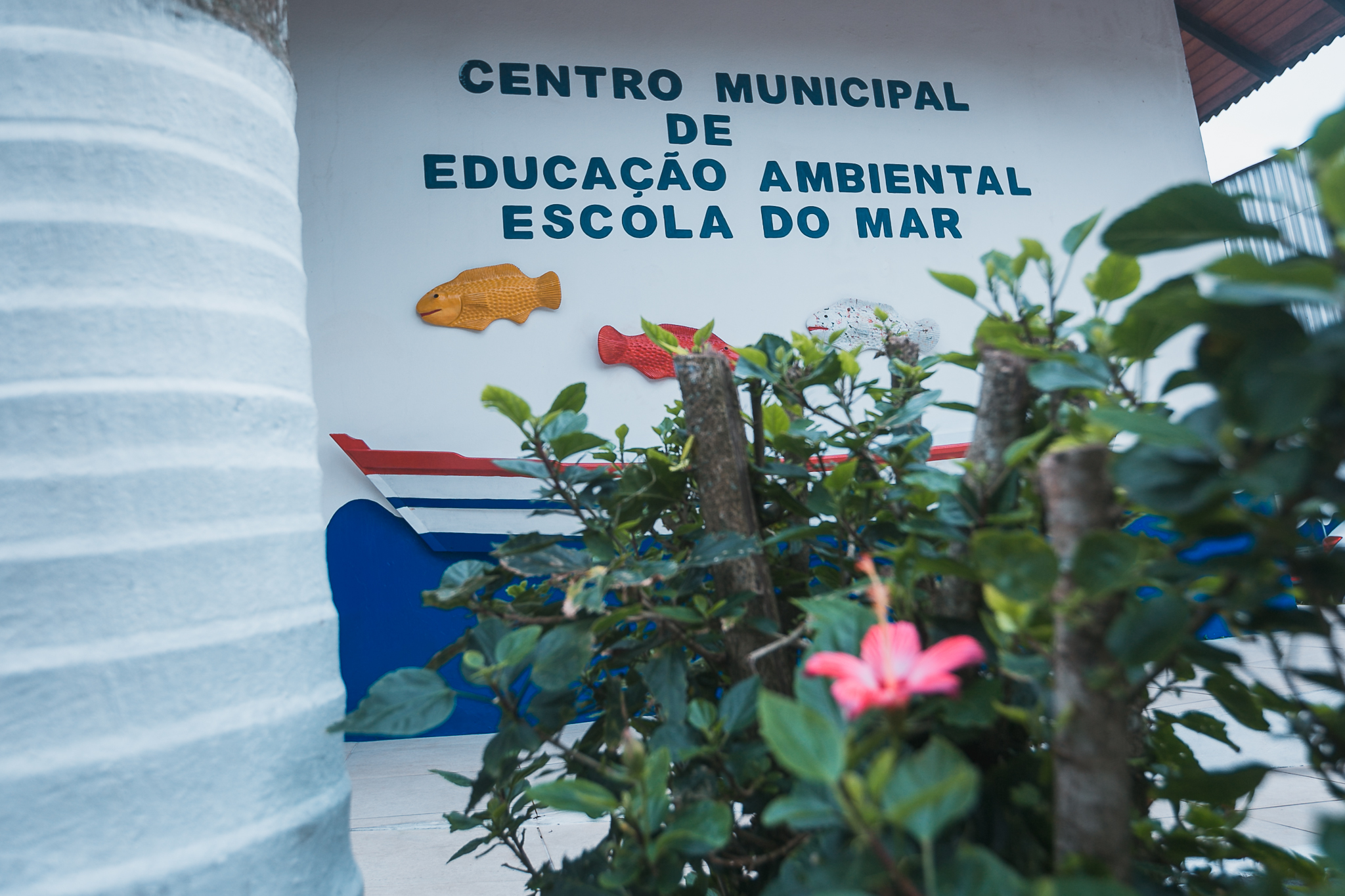 Audiência Pública - A importância de fomento das escolas do mar - São José