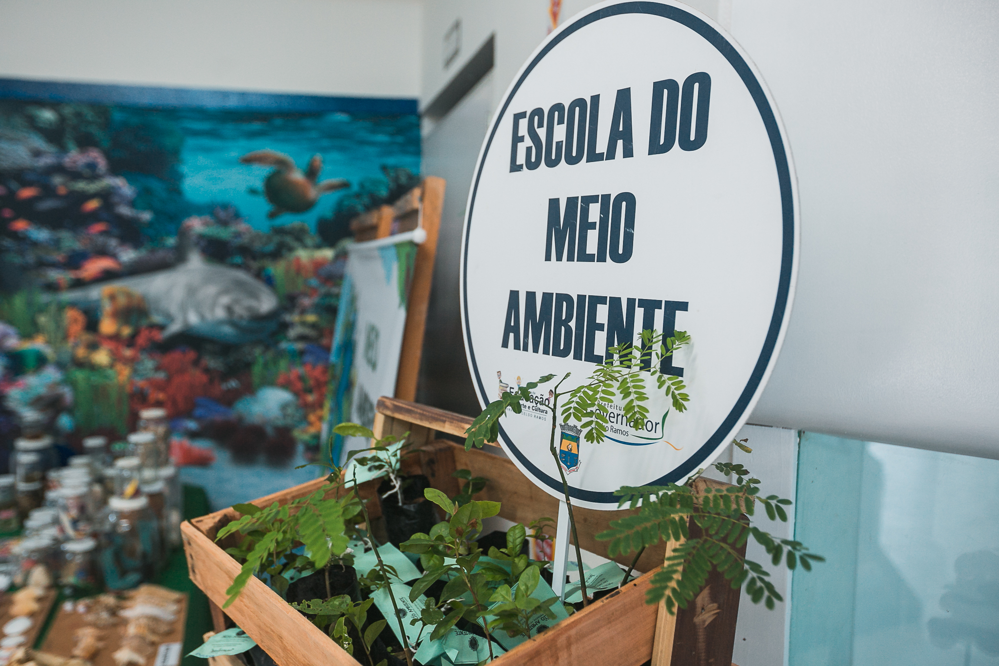 Audiência Pública - A importância de fomento das escolas do mar - São José