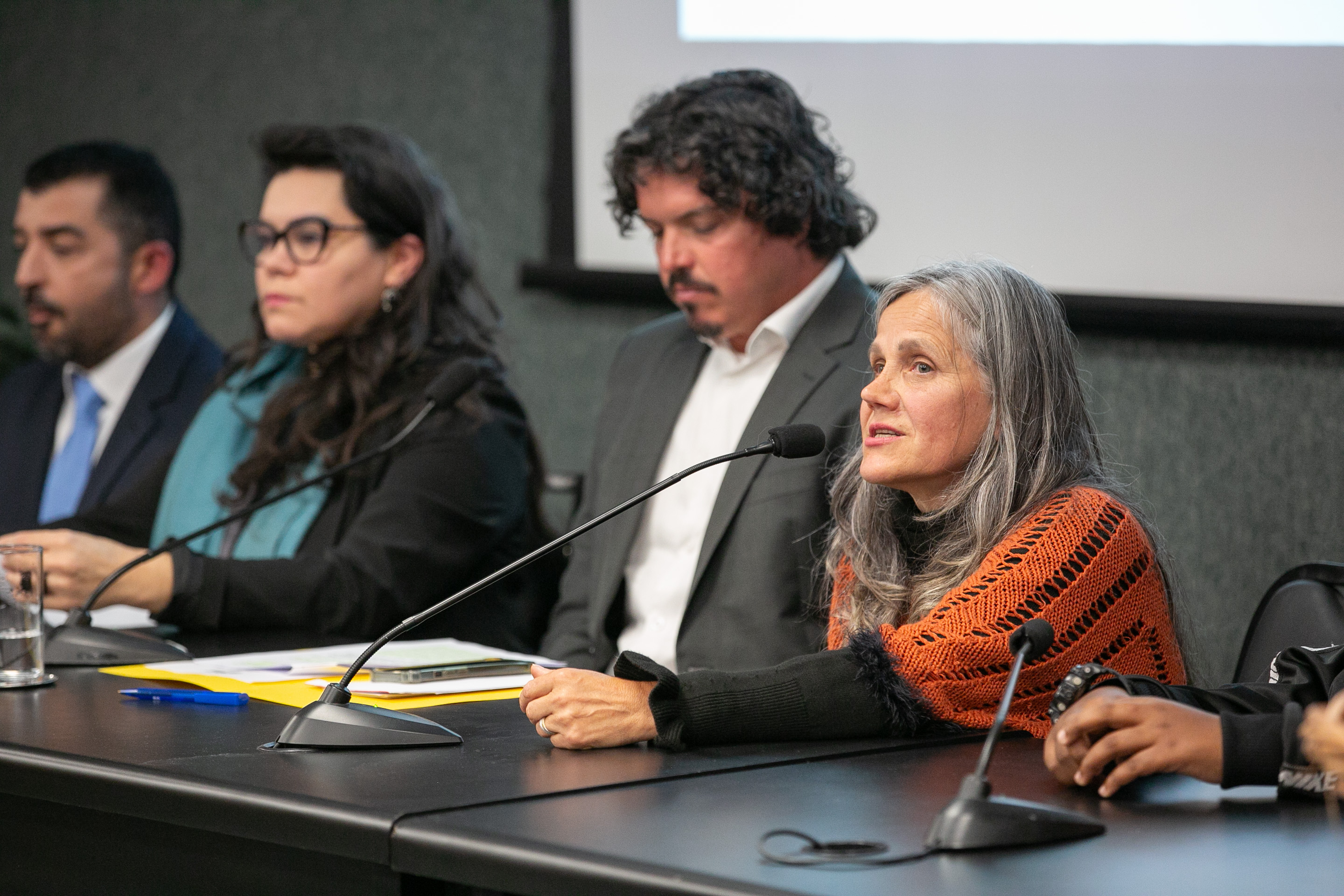 Lançamento da Frente Parlamentar da Primeira Infância
