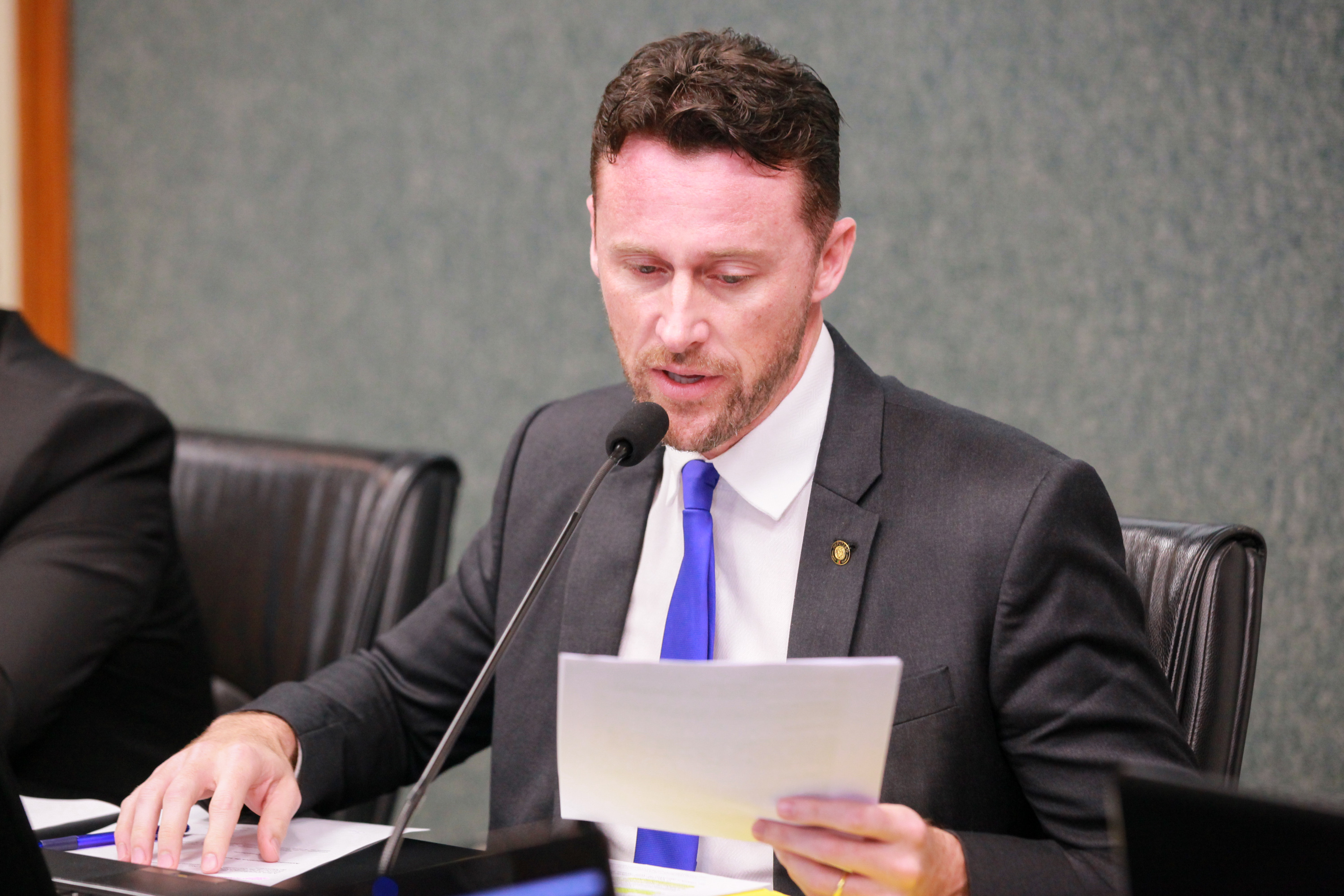 Comissão de Relacionamento Institucional, Comunicação, Relações Internacionais e do Mercosul - Deputado Fernando Krelling (MDB)