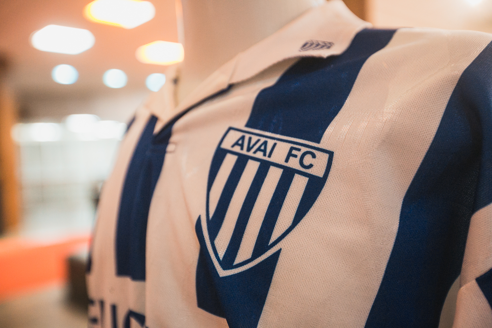 Sessão Especial em Homenagem ao Centenário do Avaí Futebol Clube