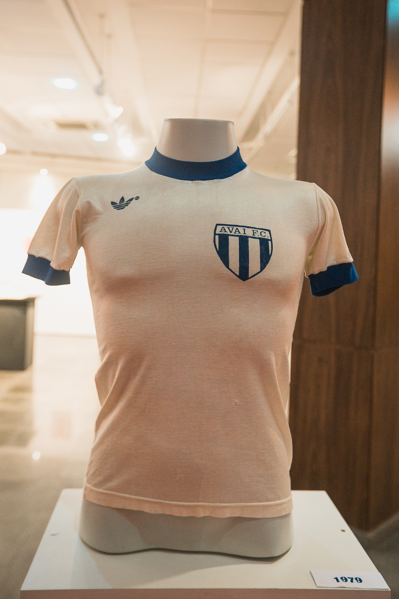 Sessão Especial em Homenagem ao Centenário do Avaí Futebol Clube