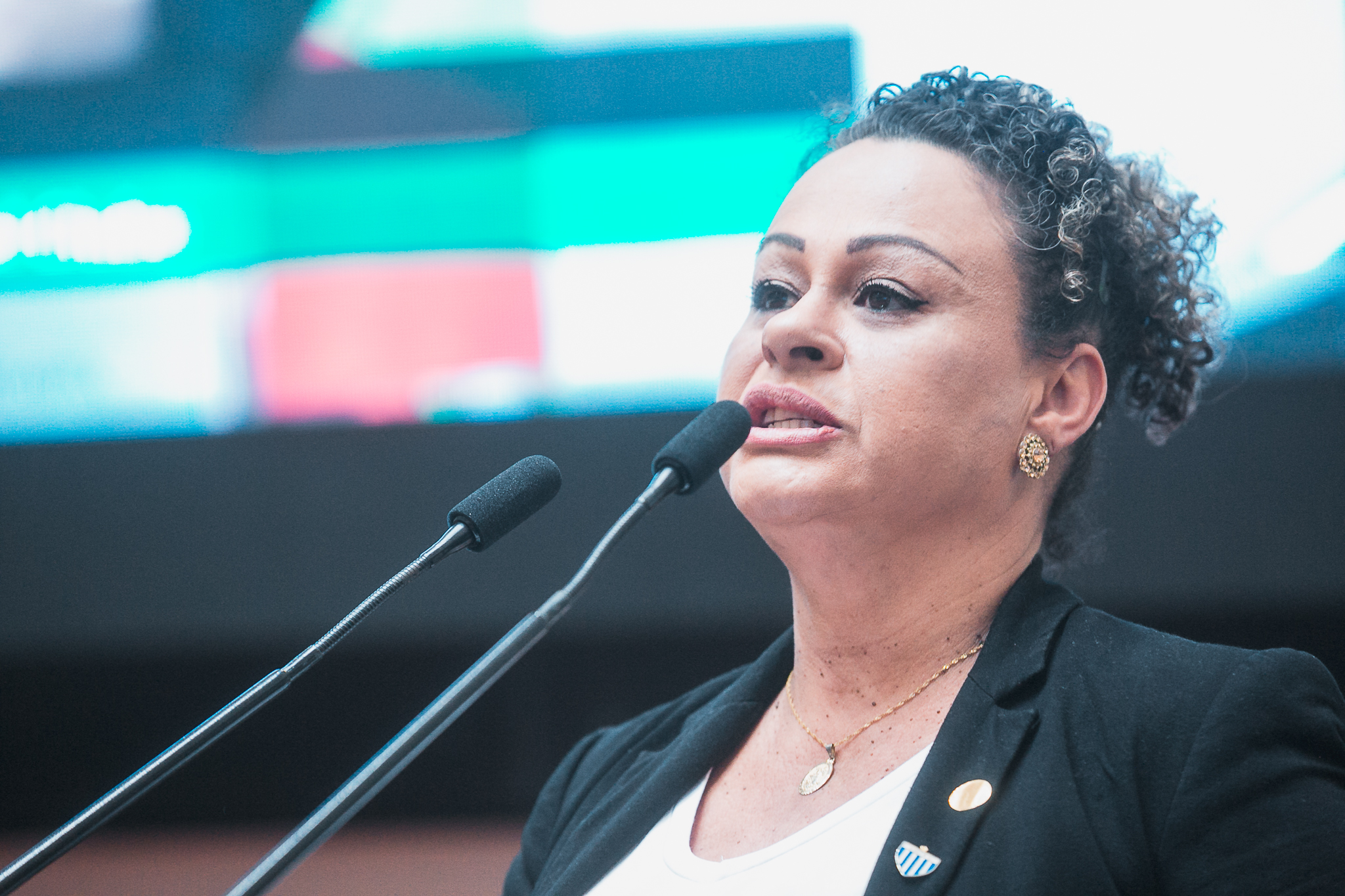 Sessão Especial em Homenagem ao Centenário do Avaí Futebol Clube  - Miriam Ribas Salvador Presidente da torcida Avaixonadas