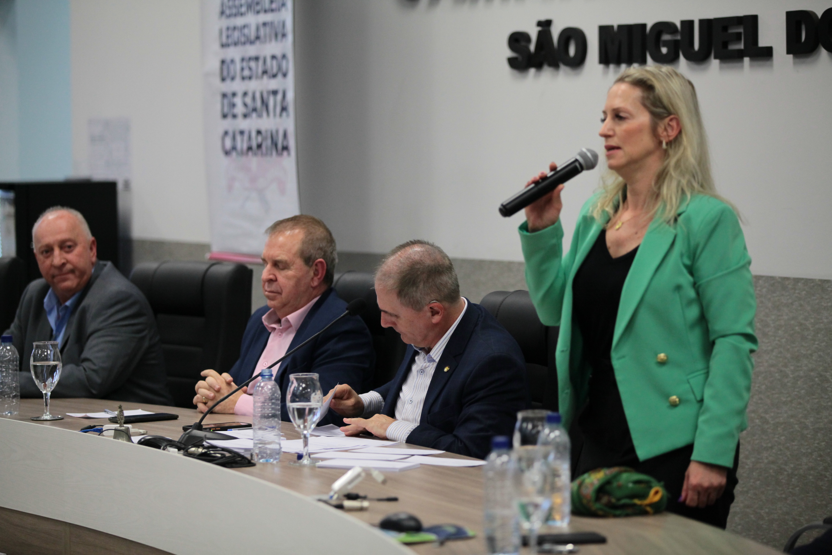 Audiência Pública que irá discutir a situação dos produtores de Leite do Estado - Luzia Lliane Vacarin, prefeita de Cunha-Porã