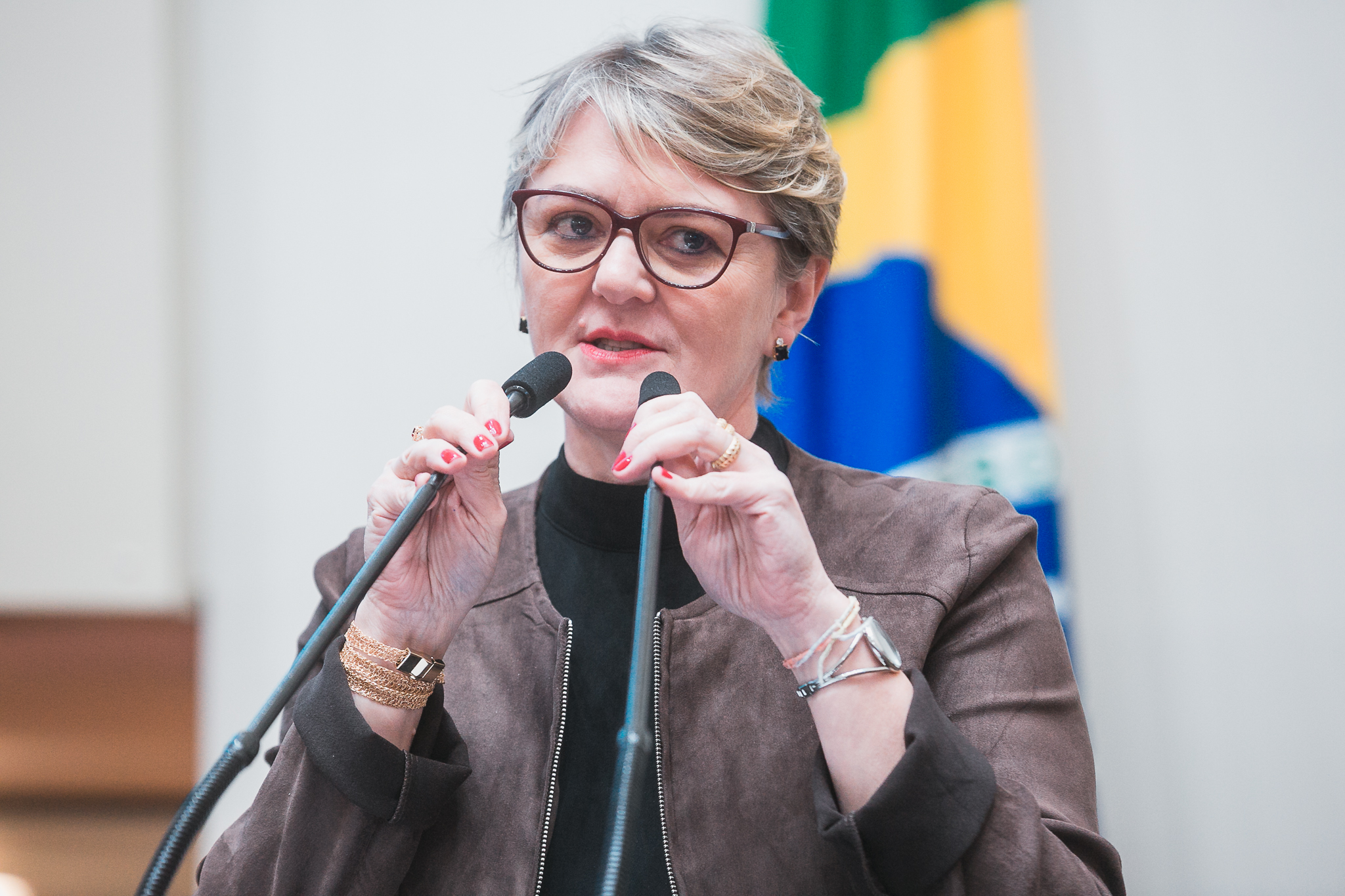 SESSÃO ORDINÁRIA - Deputada Luciane Carminatti (PT)