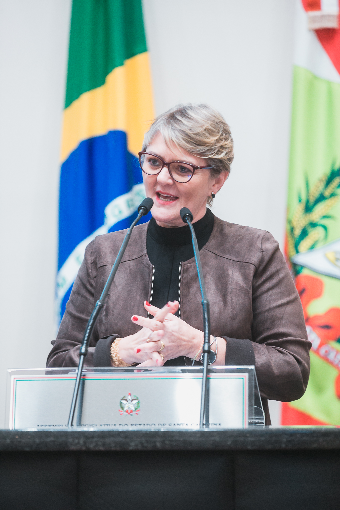 SESSÃO ORDINÁRIA - Deputada Luciane Carminatti (PT)