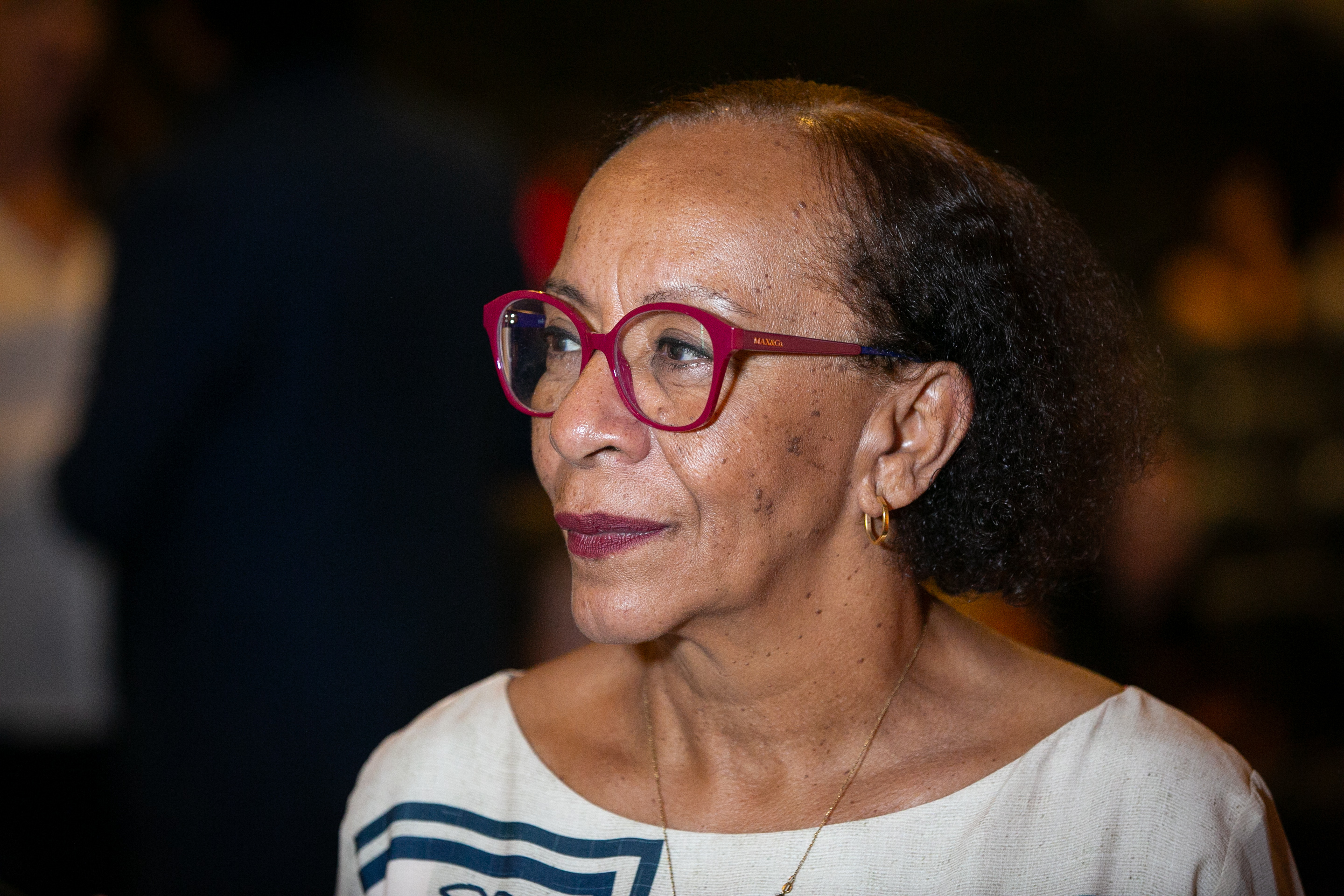 Diretora do Departamento de Saúde Mental do Ministério da Saúde, Sônia Barros