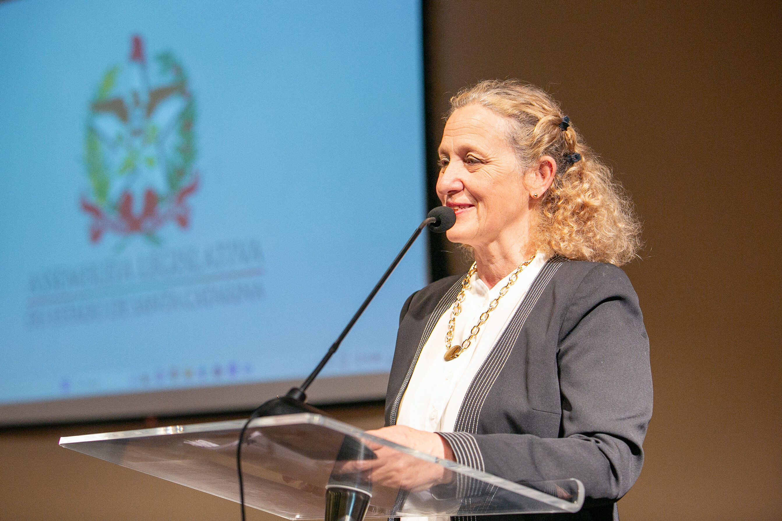 Diretora de Atenção Primária da Secretaria de Estado da Saúde, Angela Maria Blatt Ortiga
