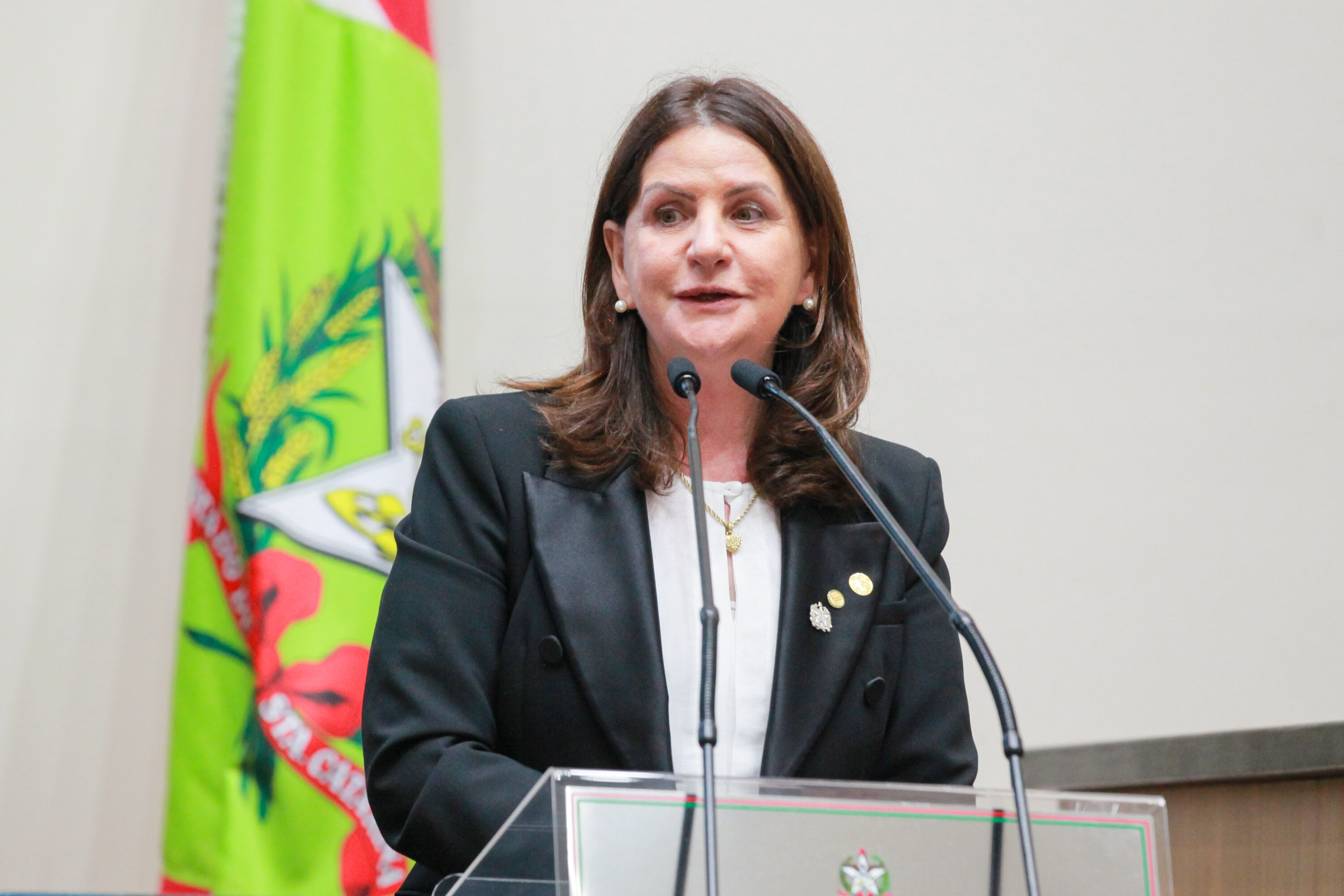 Secretária de Estado da Saúde, Carmen Zanotto.