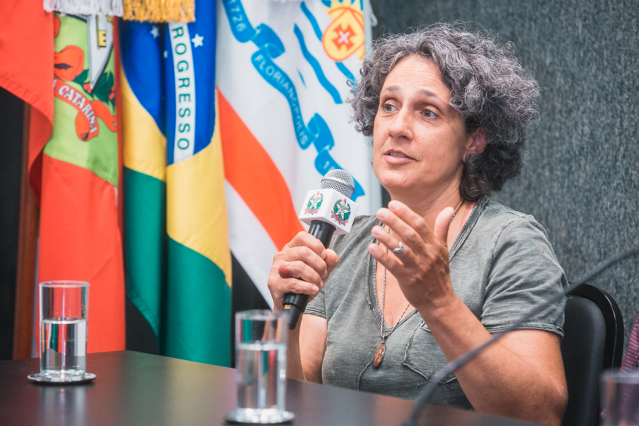 Audiência Pública para discutir a situação da Lagoa do Peri