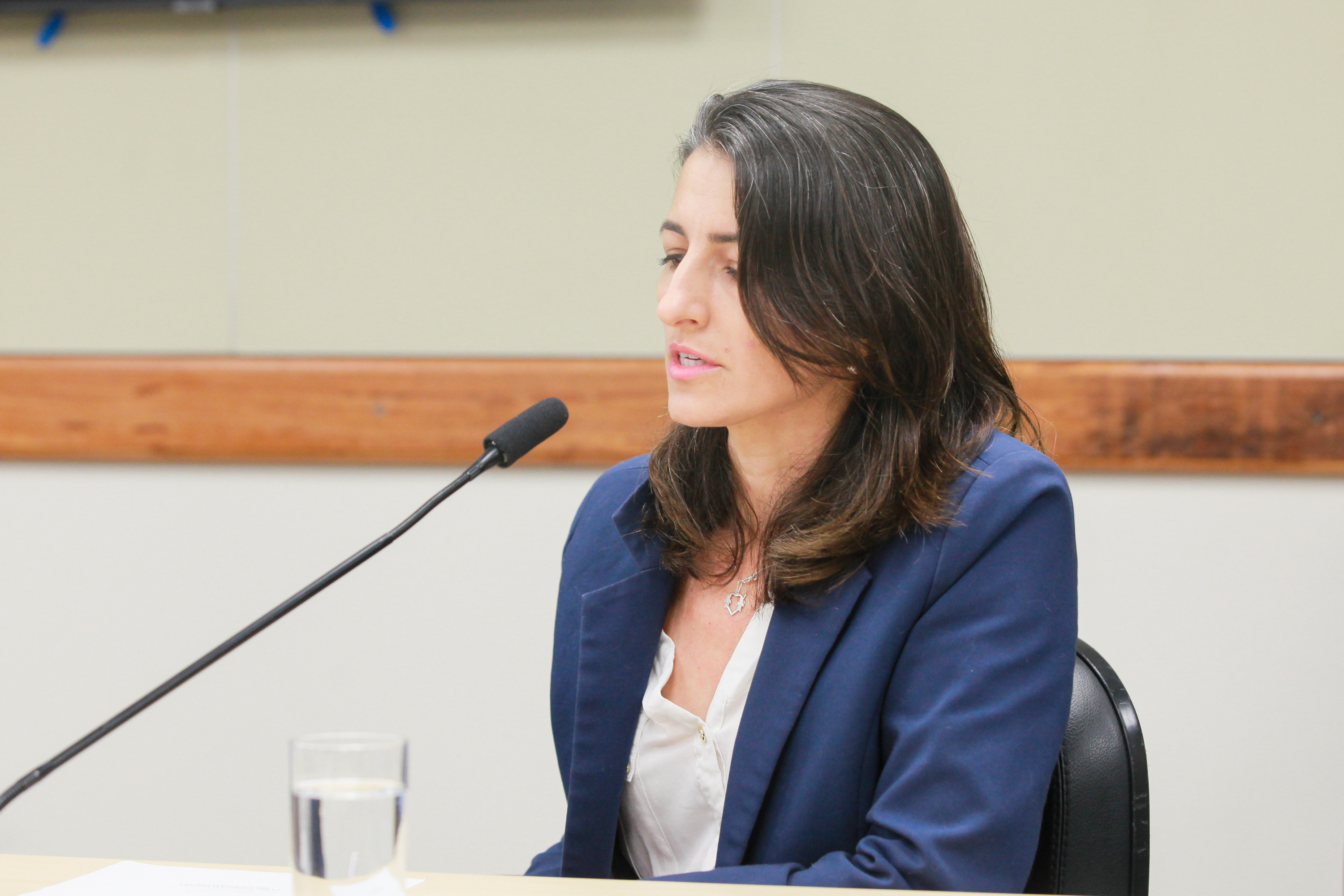 Frente Parlamentar da Apicultura e Meliponicultura