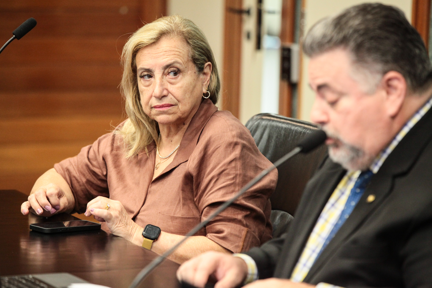 Comissão dos Direitos da Pessoa Idosa - Delegada Ester Fernanda Coelho