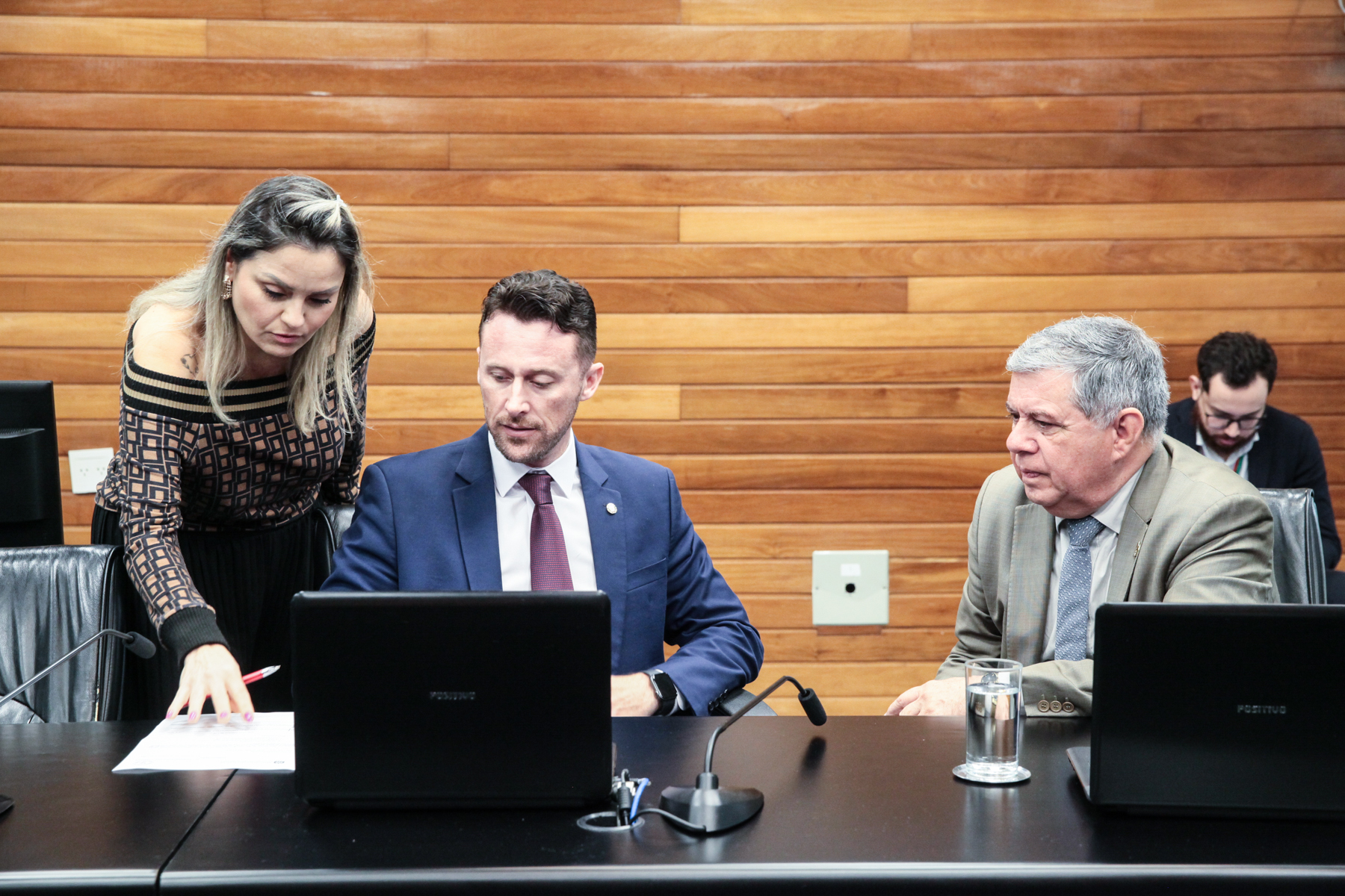 Comissão de Relacionamento Institucional, das Relações Internacionais e do MERCOSUL