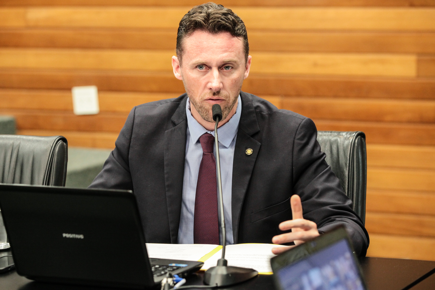 Comissão de Relacionamento Institucional, das Relações Internacionais - Deputado Fernando Krelling (MDB)