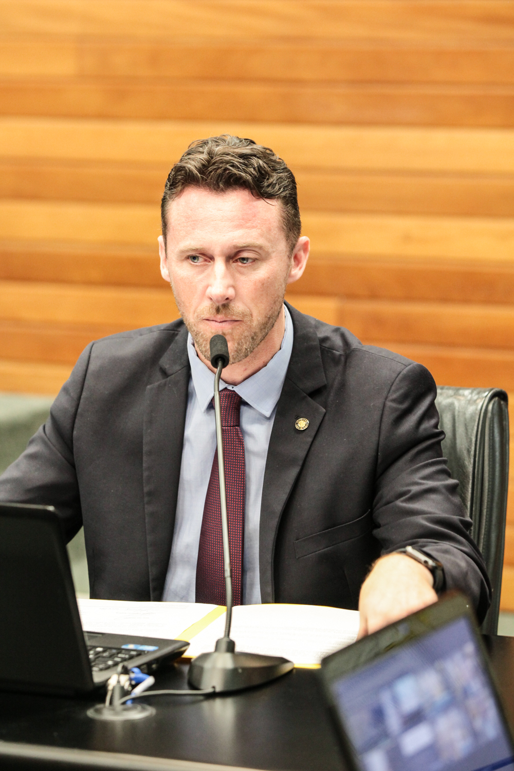 'Comissão de Relacionamento Institucional, das Relações Internacionais - Deputado Fernando Krelling (MDB)