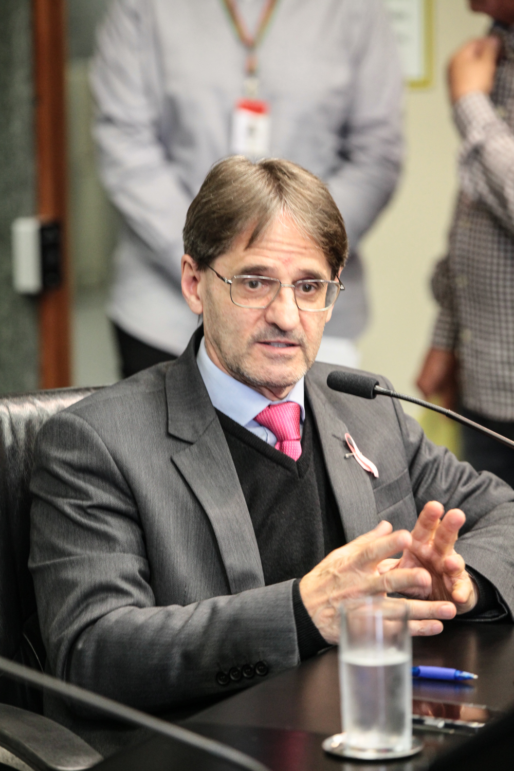 Comissão de Relacionamento Institucional, das Relações Internacionais - Deputado Neodi Saretta (PT)