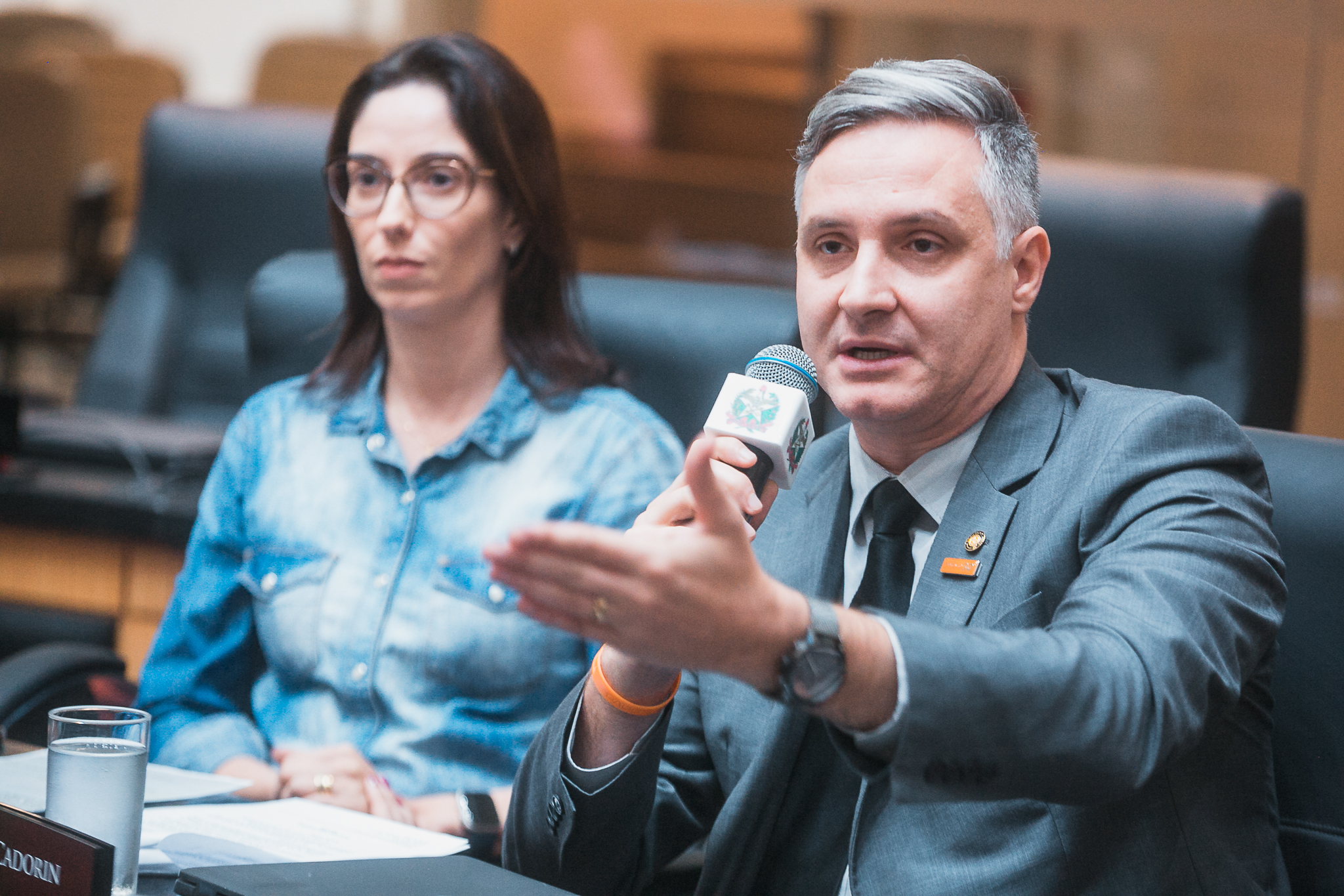 Comissão Conjunta - Trabalho, Administração e Serviço Público e  Comissão de Assuntos Municipais
