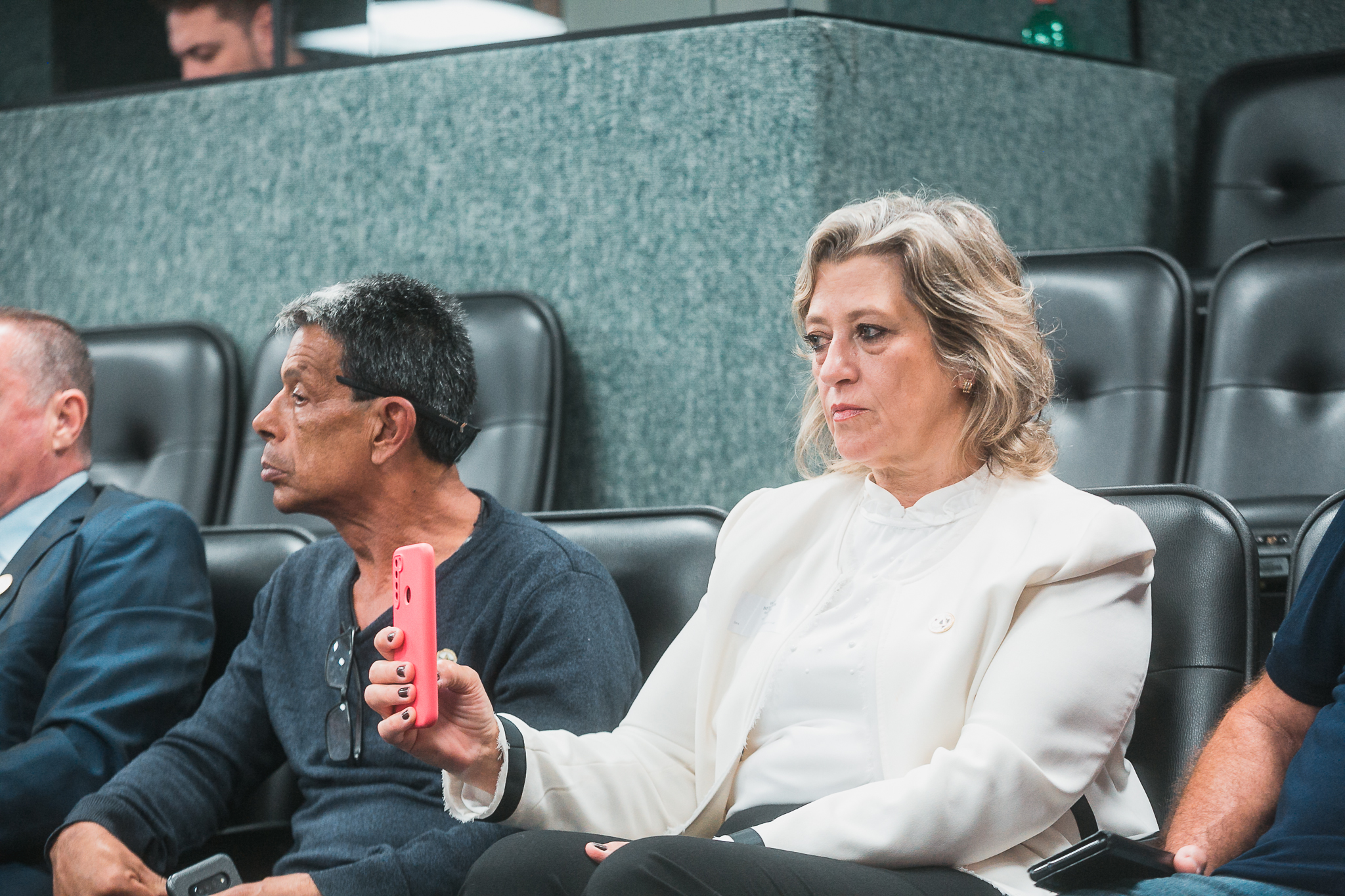 Comissão de Segurança Pública