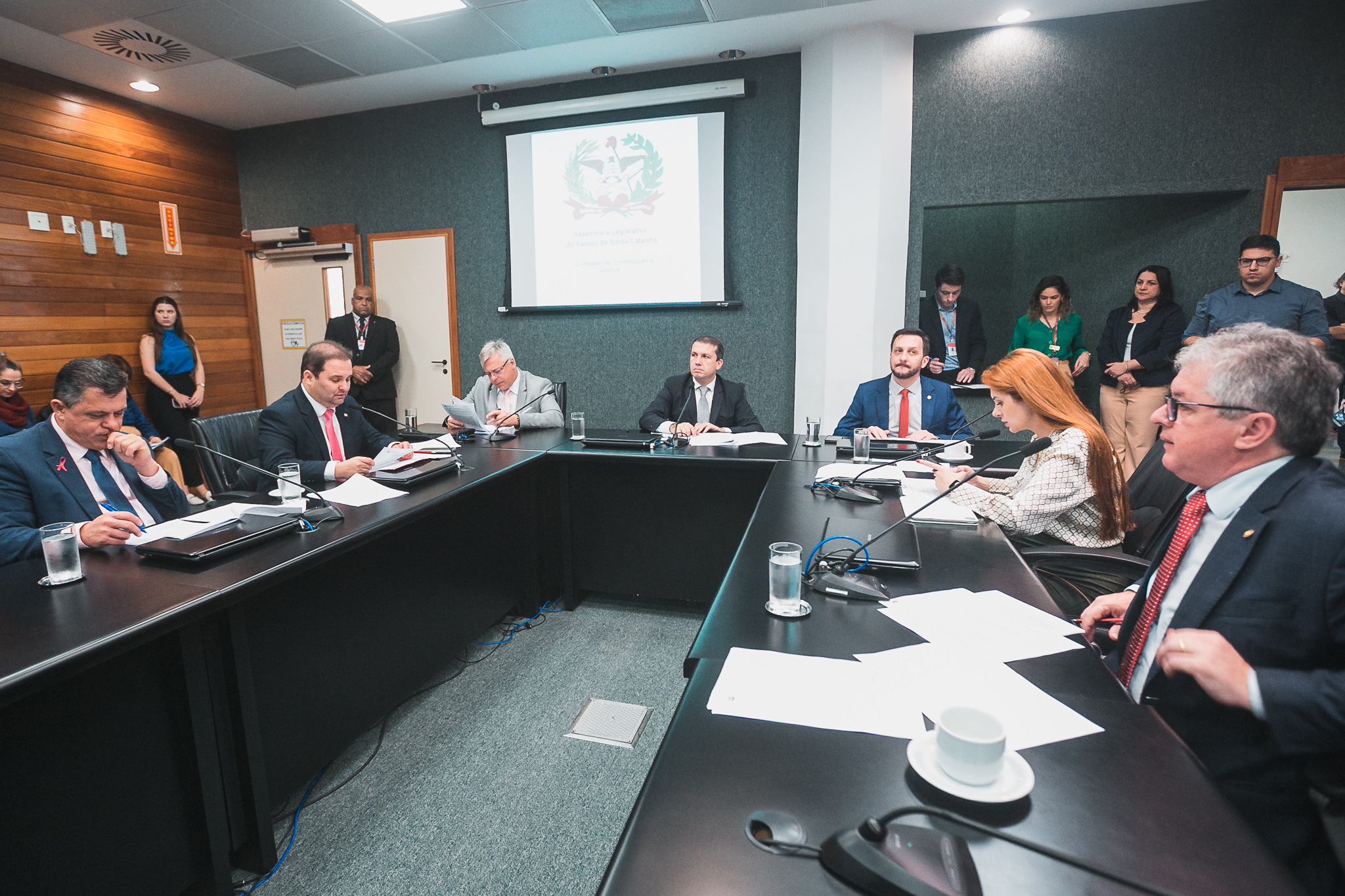 Comissão de Constituição e Justiça