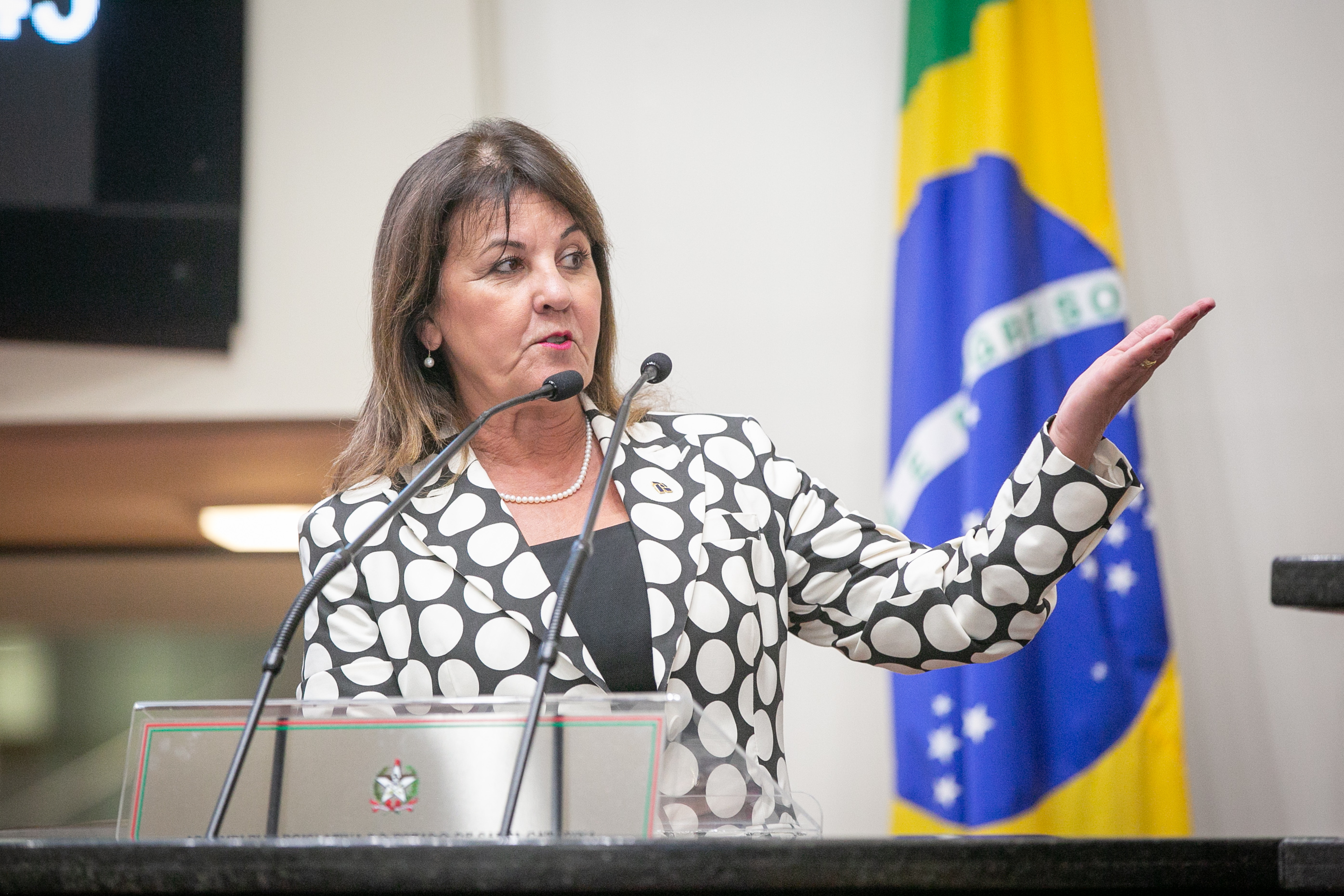 Suspensão da Sessão – Apresentação da Receita Federal