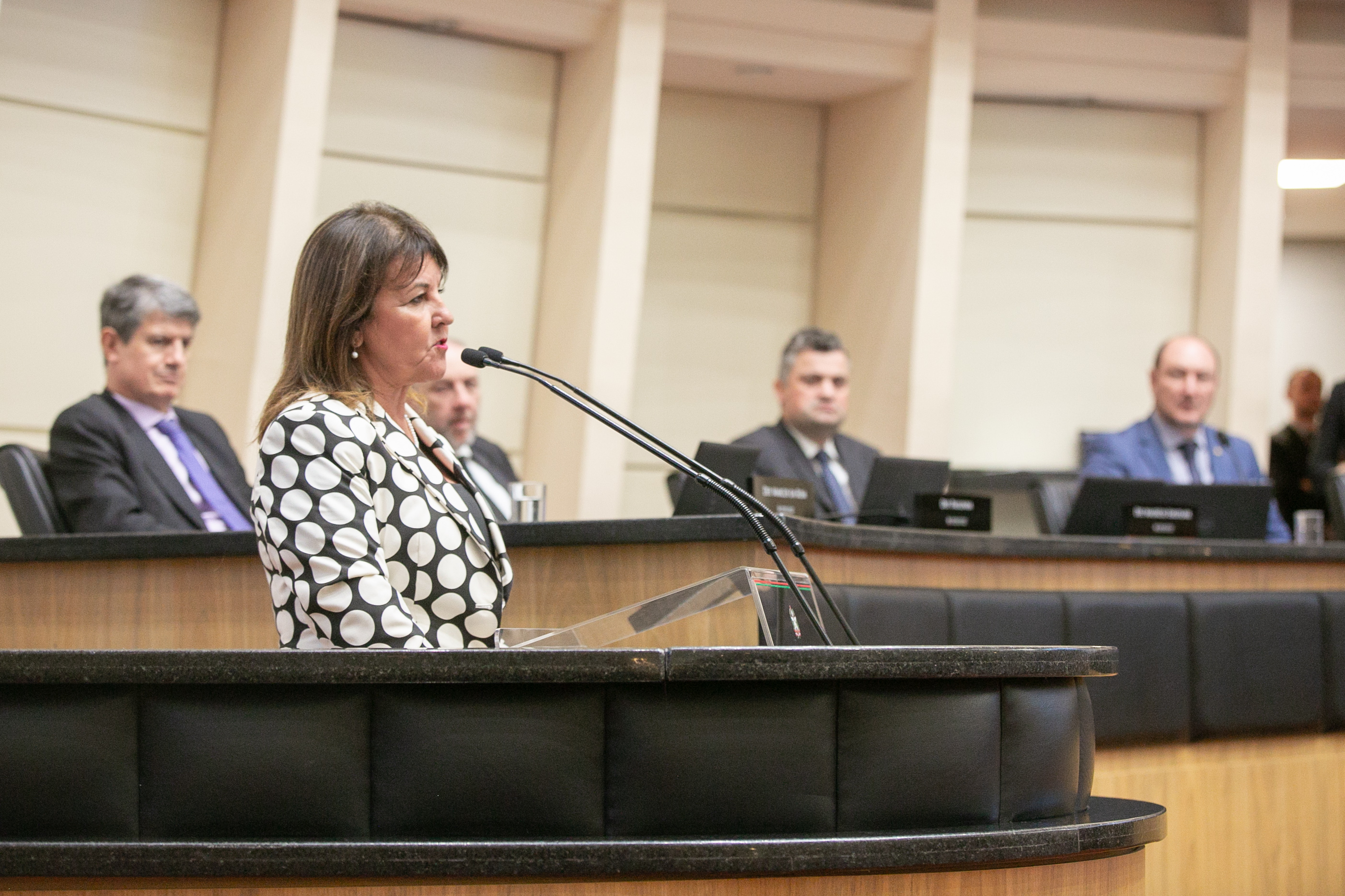 Suspensão da Sessão - Apresentação da Receita Federal
