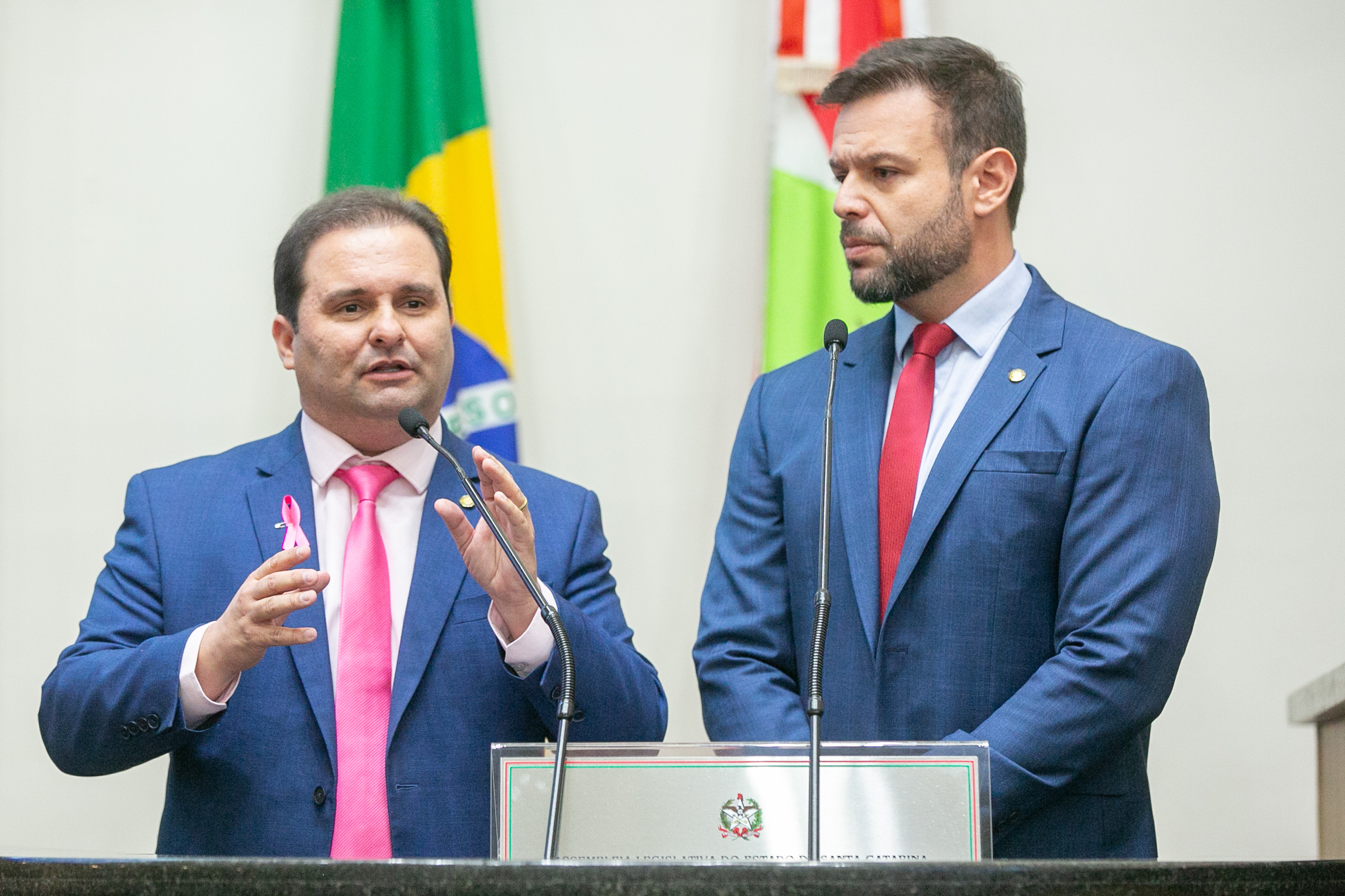 SESSÃO ORDINÁRIA - Parte 1 - Deputado Repórter Sérgio Guimarães(União)  - Deputado Pedrão (Progressista)