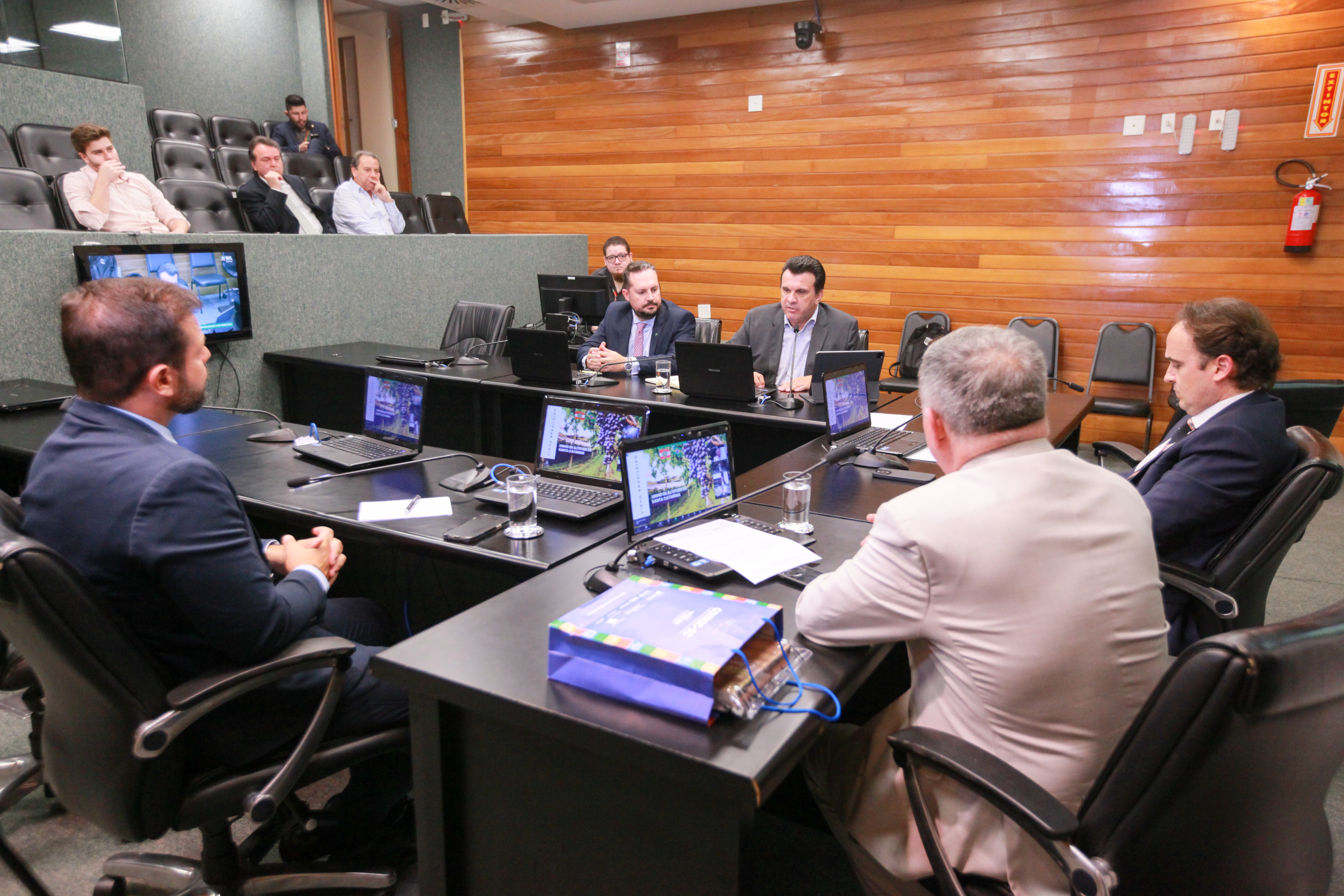 Comissão de Relacionamento Institucional, das Relações Internacionais e do Mercosul
