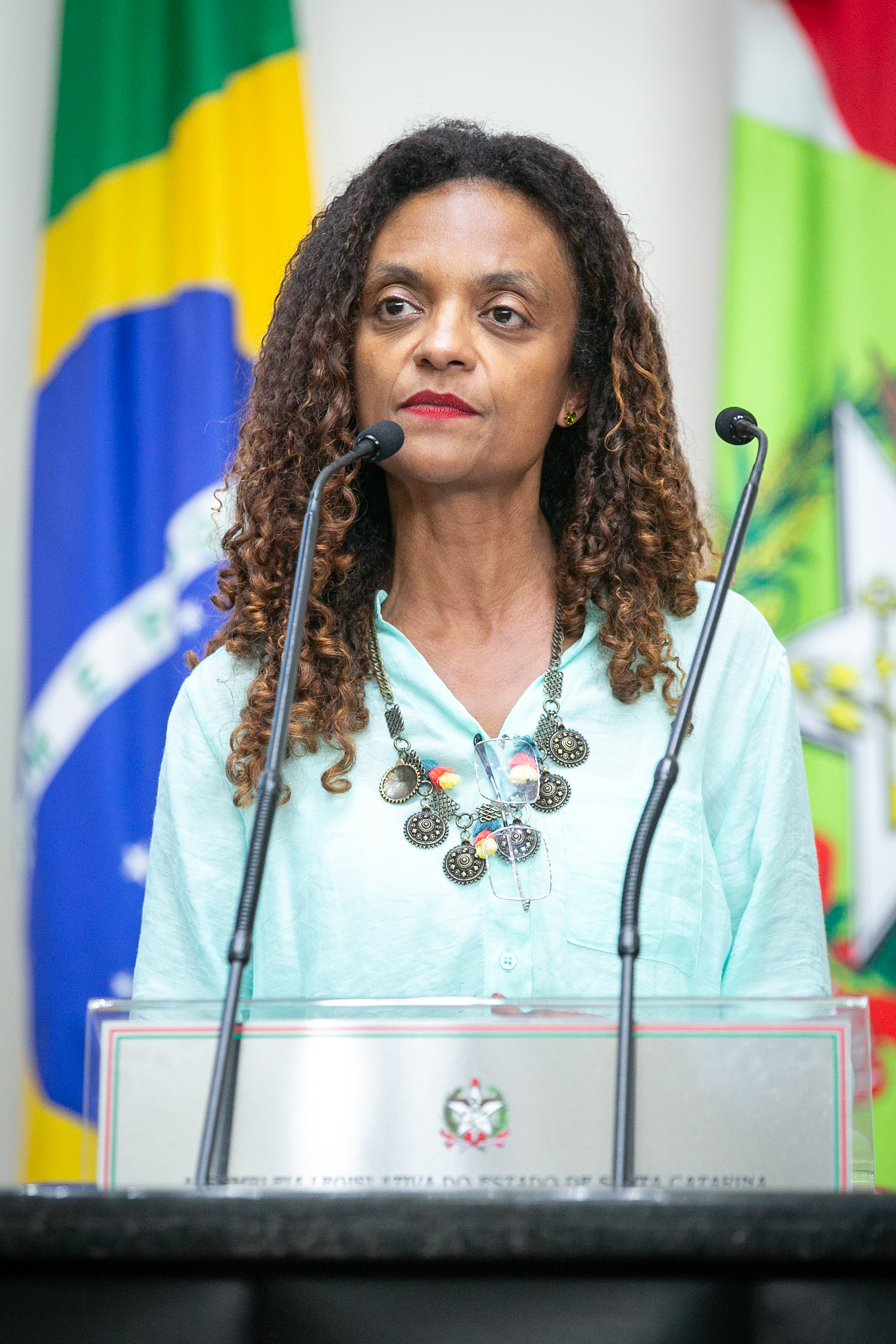 SESSÃO ORDINÁRIA - Parte 1 - Deputada Vanessa Rosa (PT)