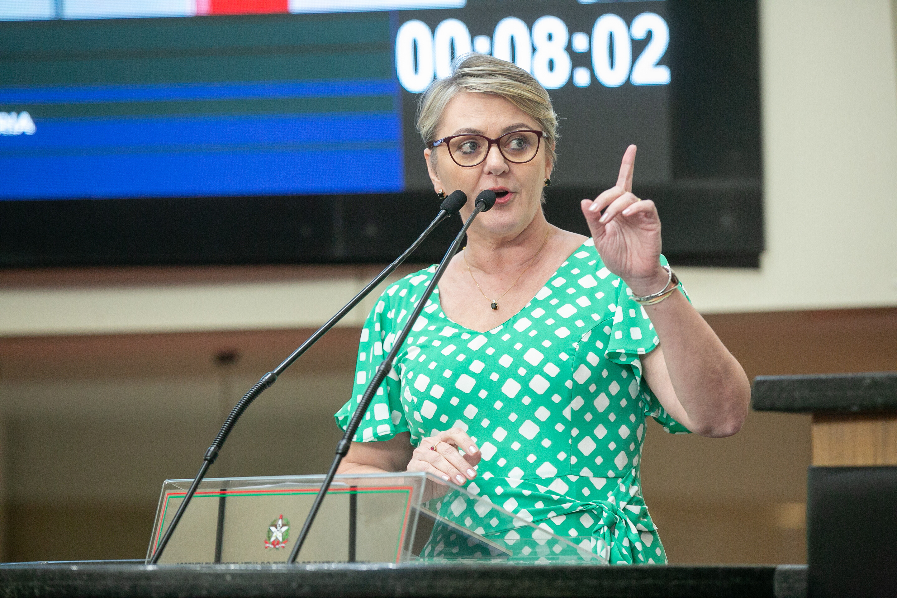 Deputada Luciane Carminatti