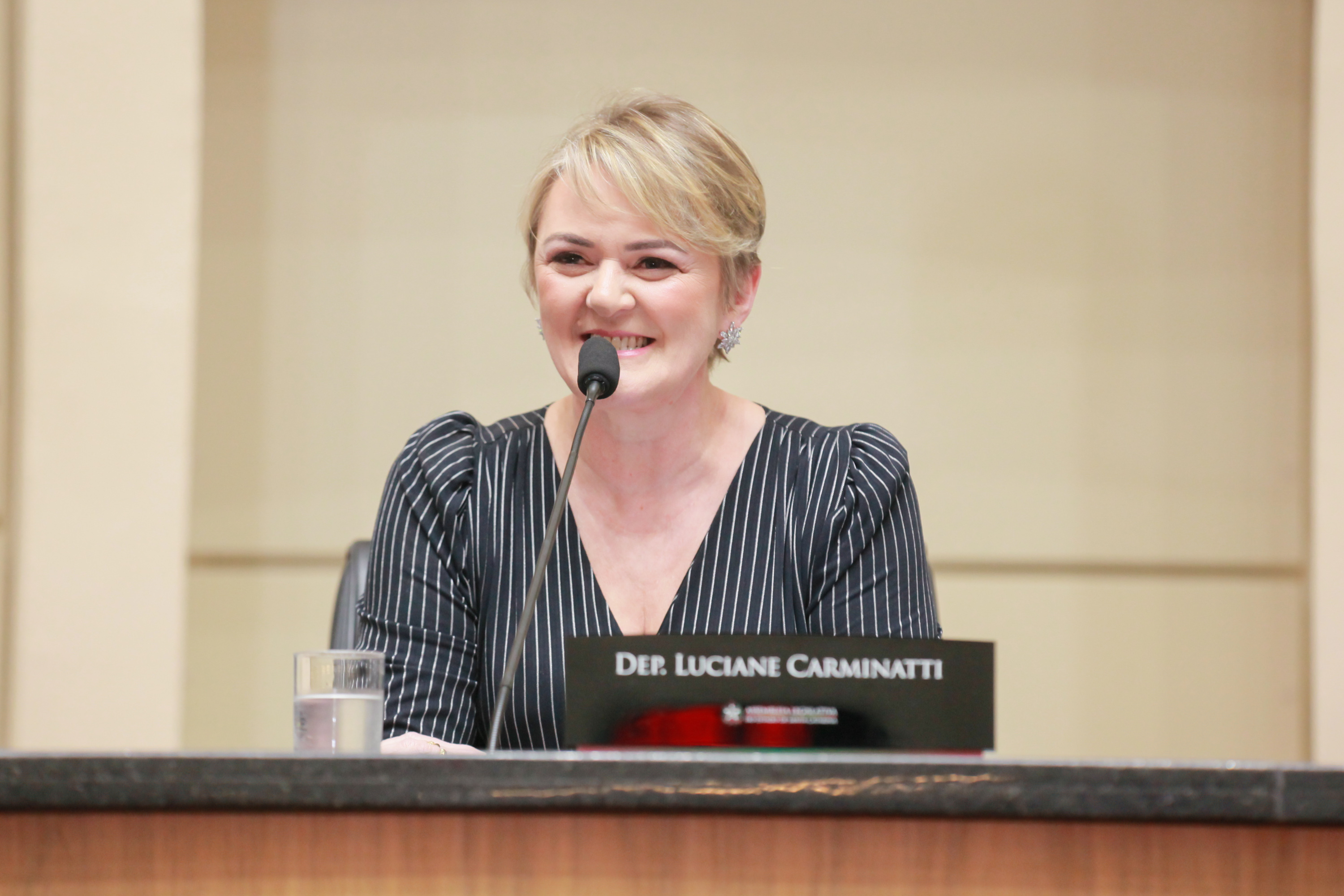 - Deputada Luciane Carminatti (PT)