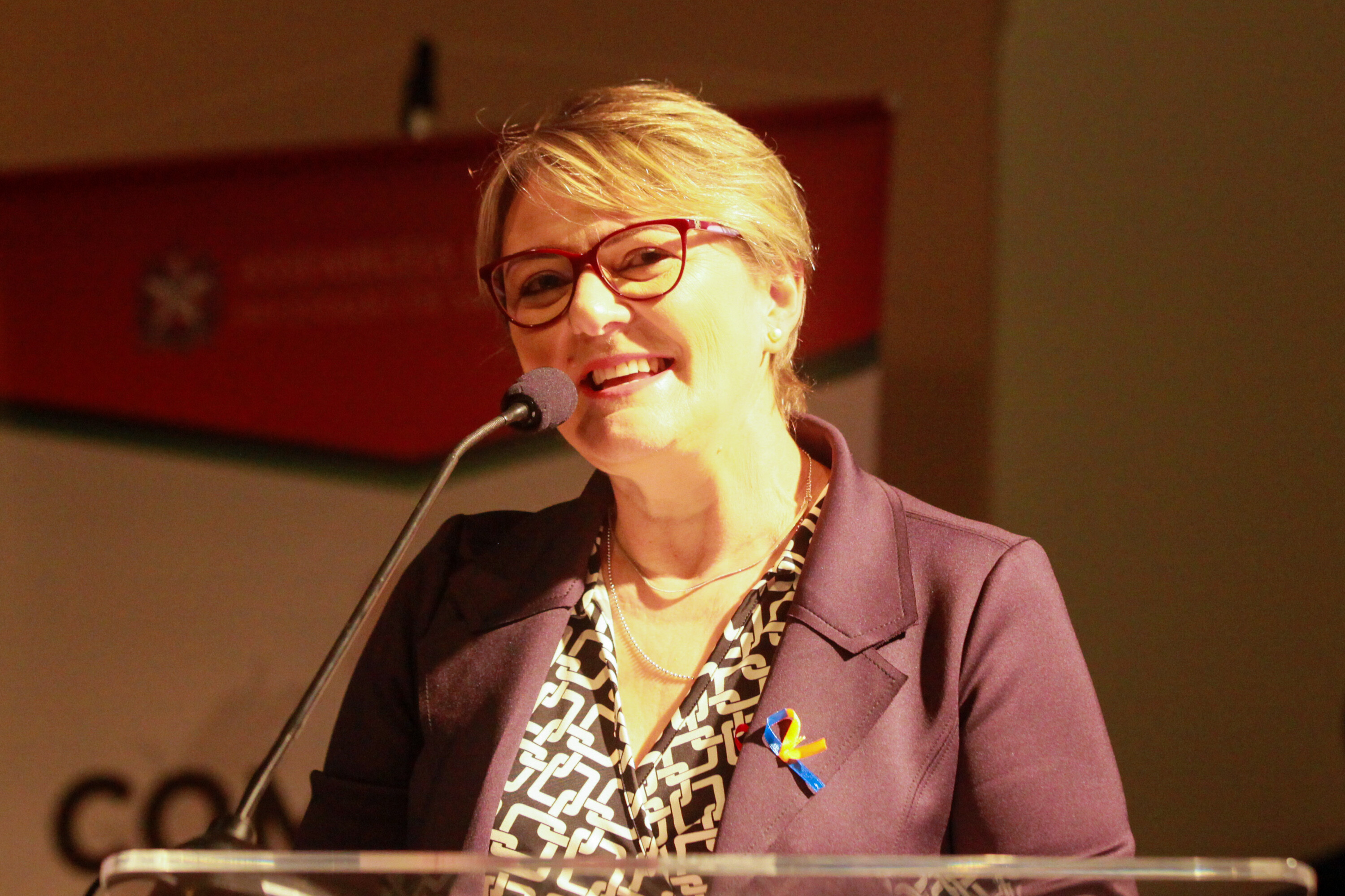 Deputada Luciane Carminatti (PT), presidente da Comissão de Educação e Cultura.