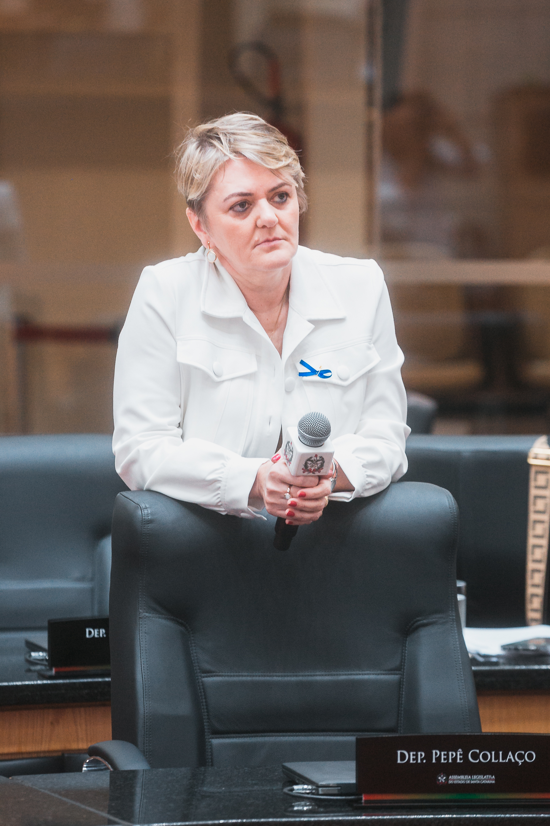- Deputada Luciane Carminatti (PT)