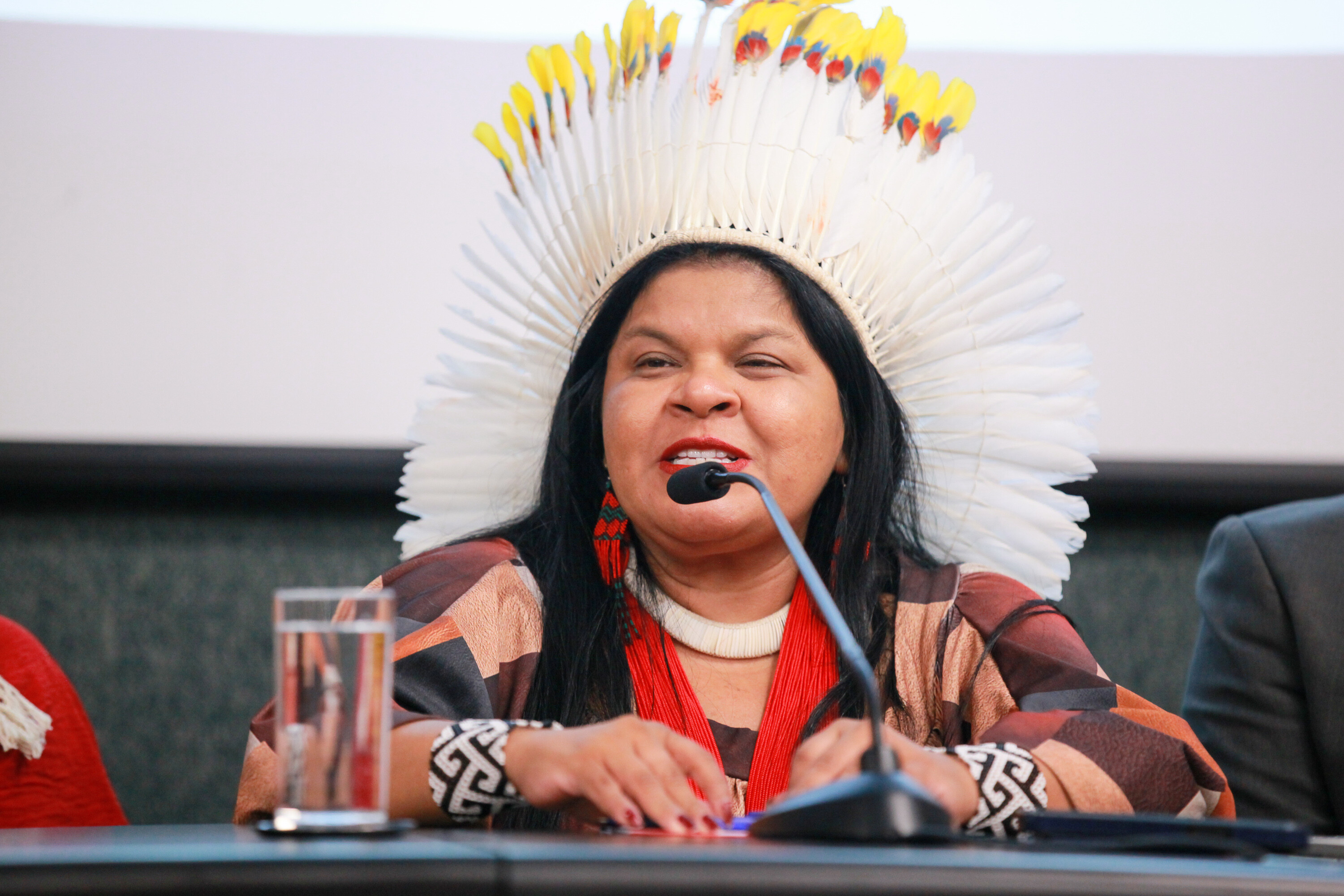 Ministra dos Povos Indígenas, Sonia Guajajar