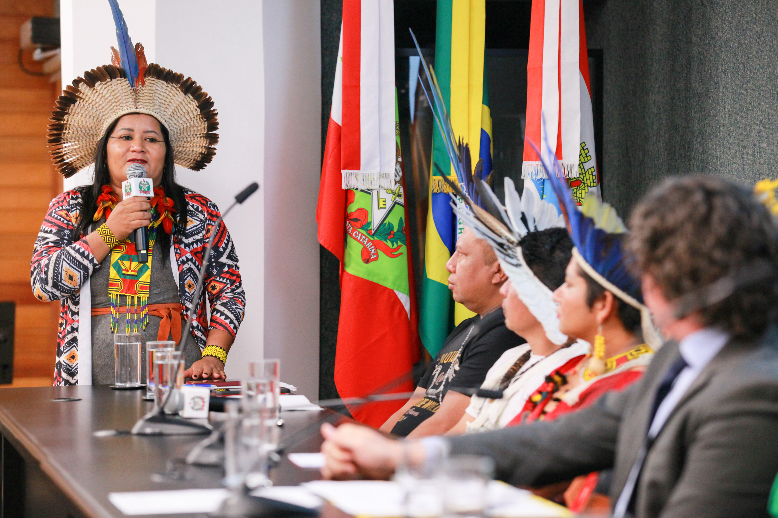 Secretária de Direitos Ambientais e Territoriais do Ministério dos Povos Indígenas, Kerexu Yxapyry